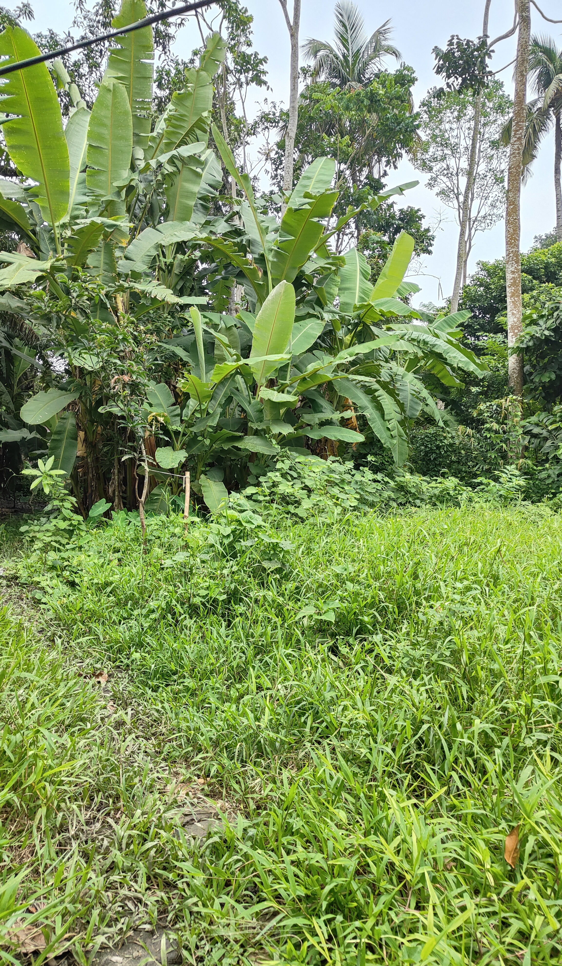 1000095661.jpg