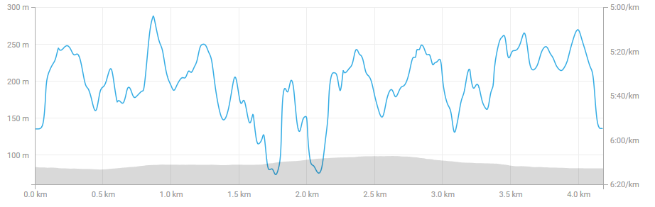 screenshot-www.strava.com-2018-06-07-21-07-33.png