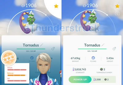 First Tornadus 98 percent.jpg