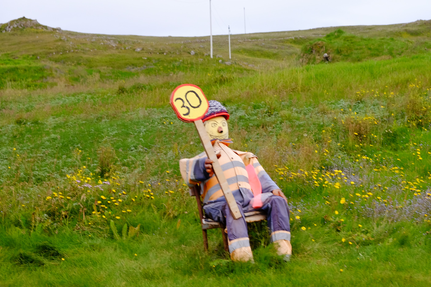 DSCF4617.jpg