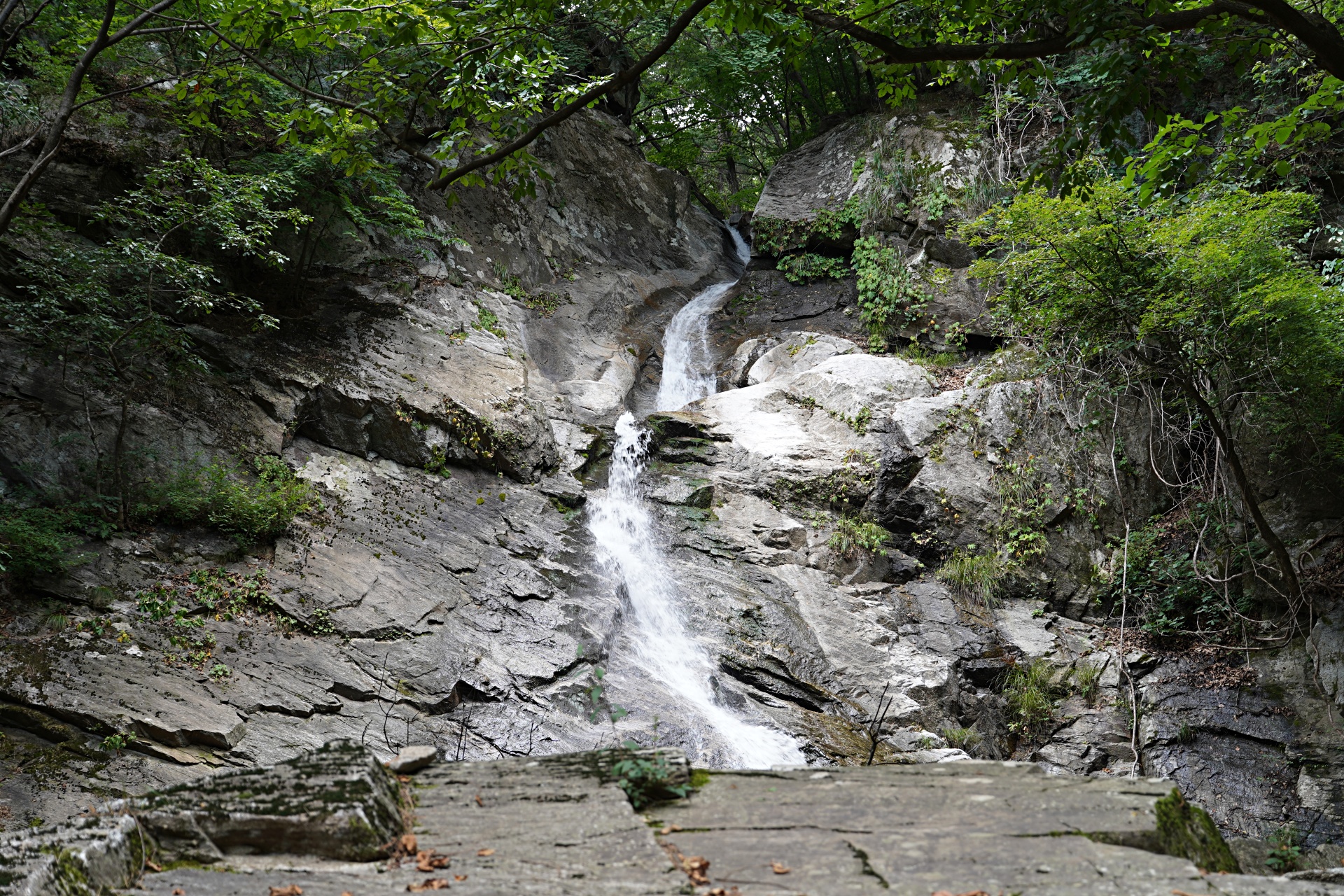 b-S260807-123448.jpg