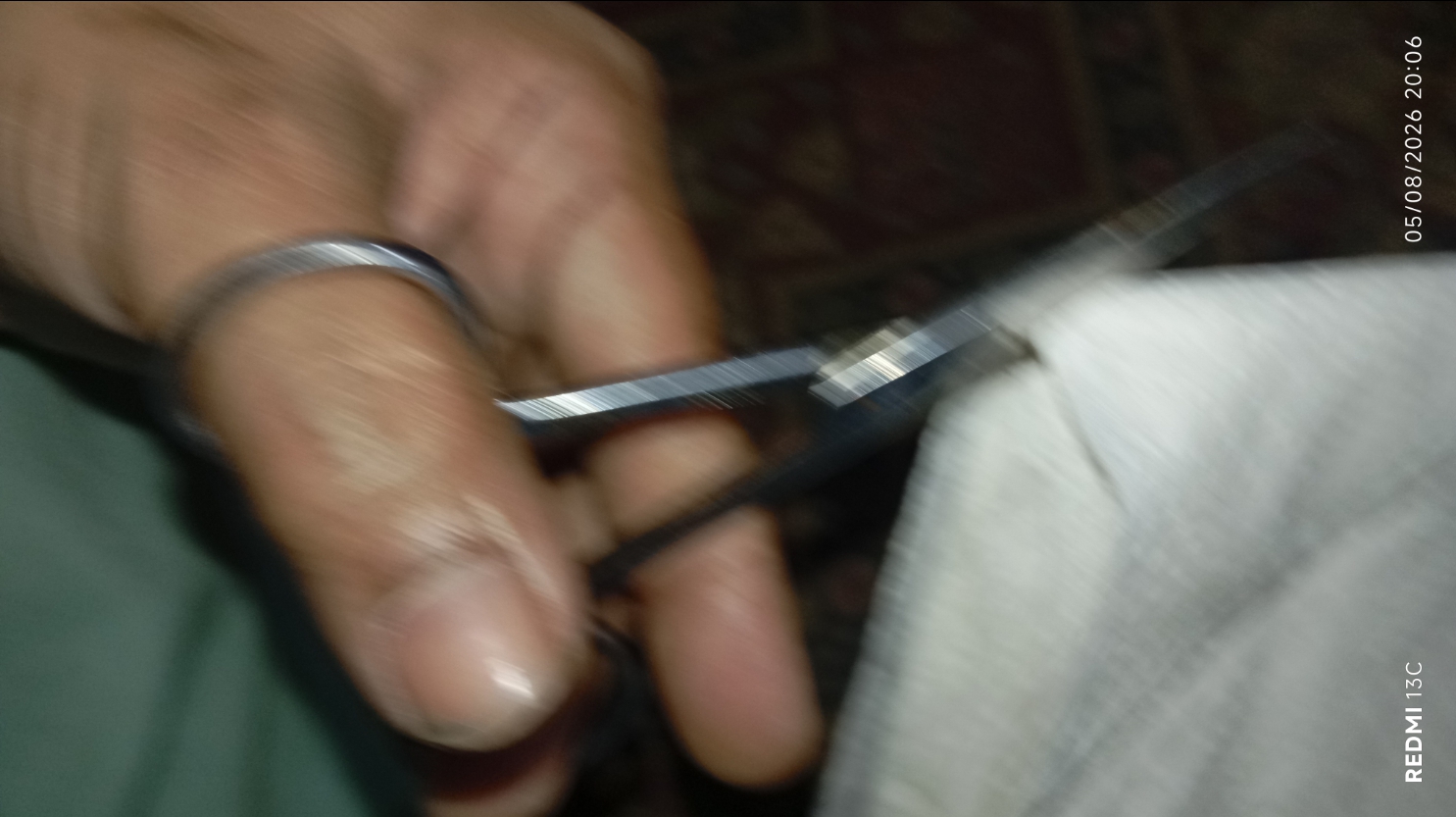 1000225047.jpg