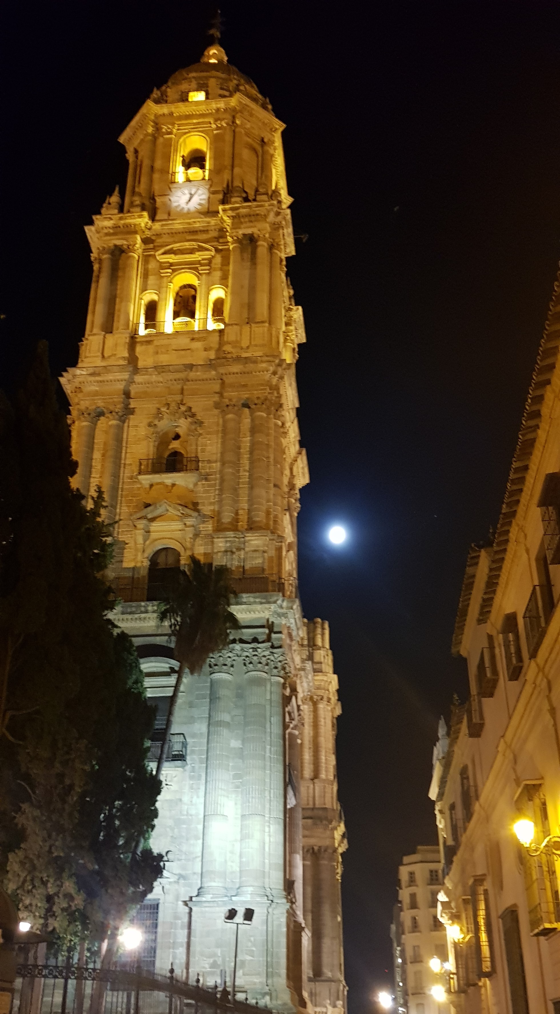 20190813_000445.jpg