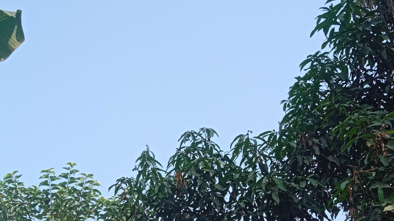 IMG_20260218_095509_050.jpg