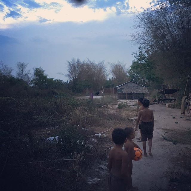 Dad's backyard.jpg