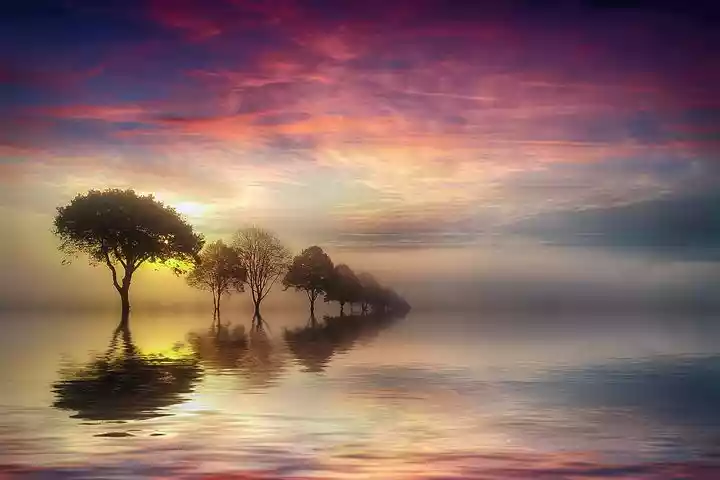 sunset-4047037__480.jpg