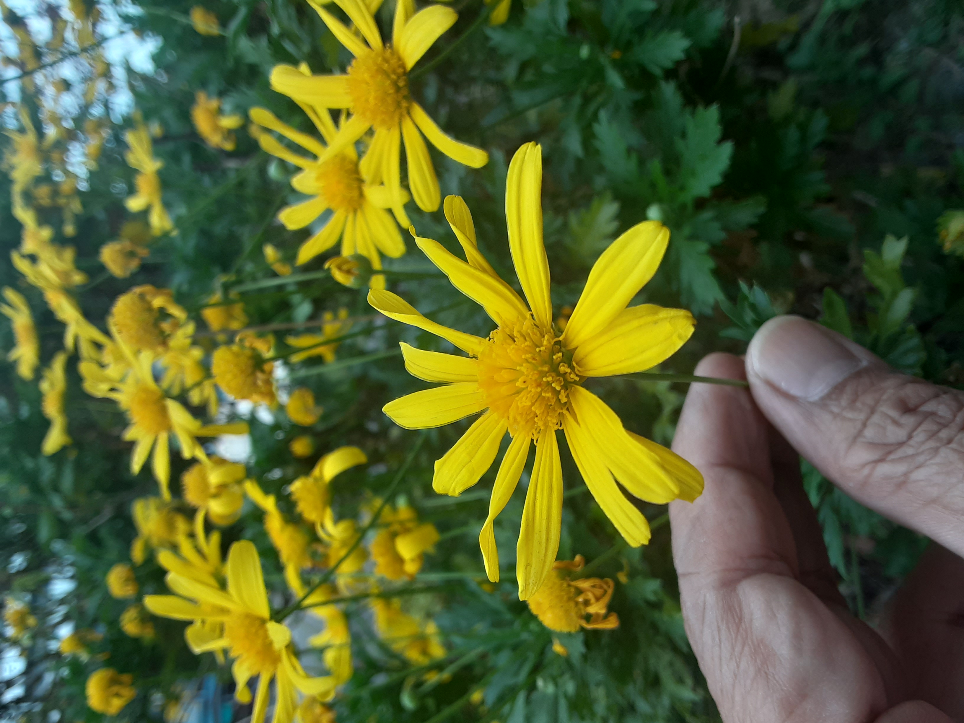 20241026_135039.jpg