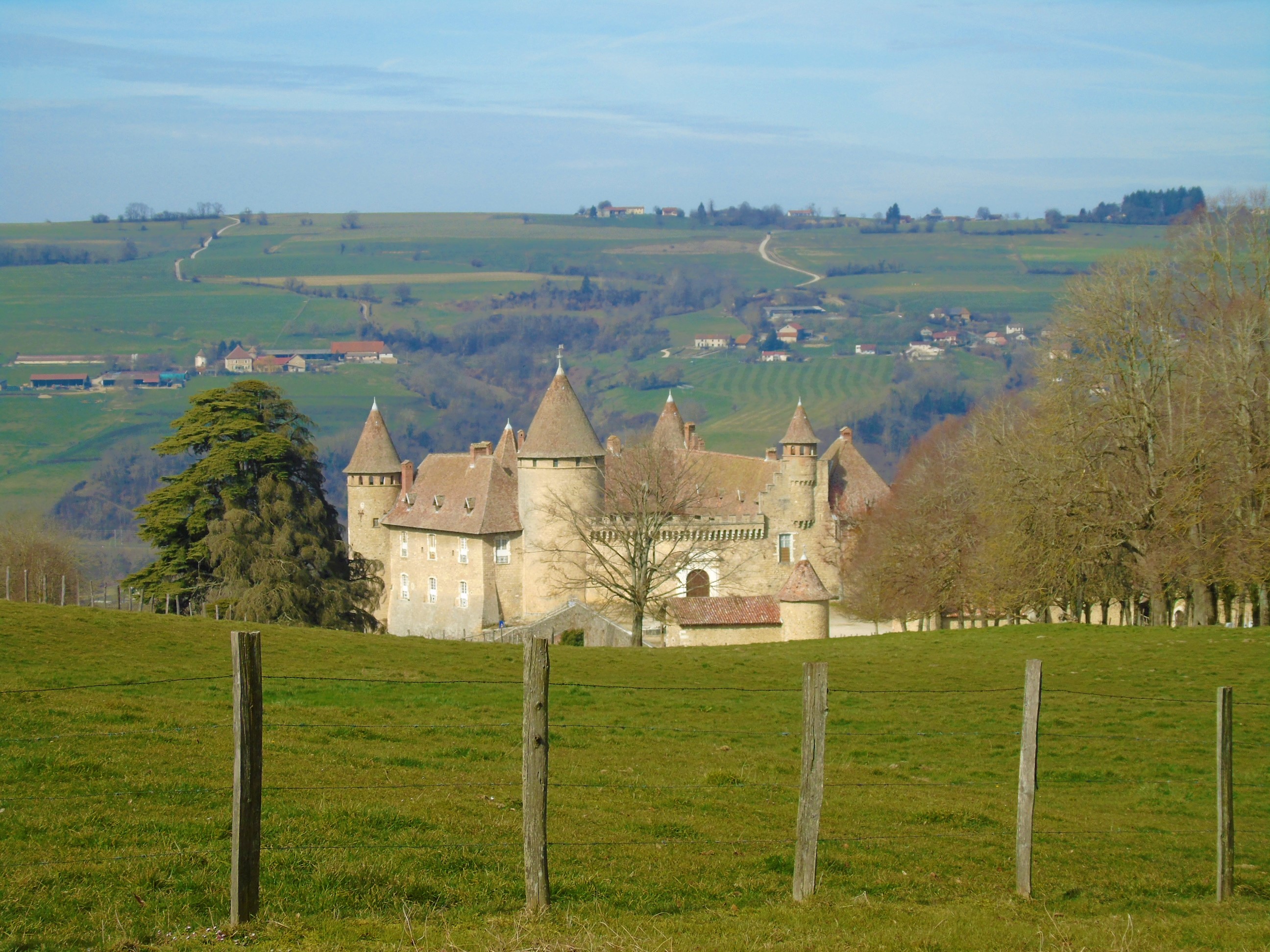1photofeedlandscape104 (9).JPG