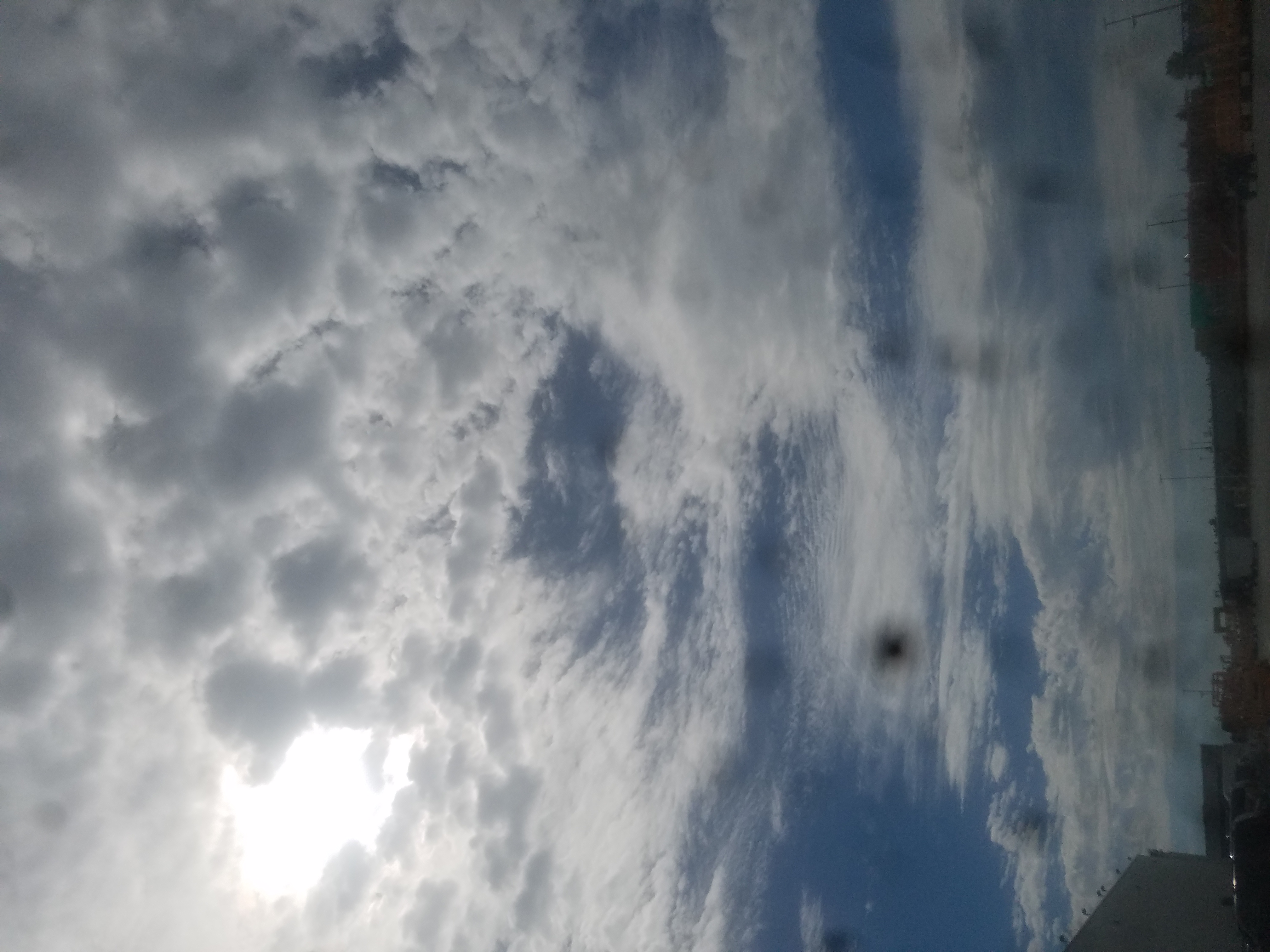 20180907_123111.jpg