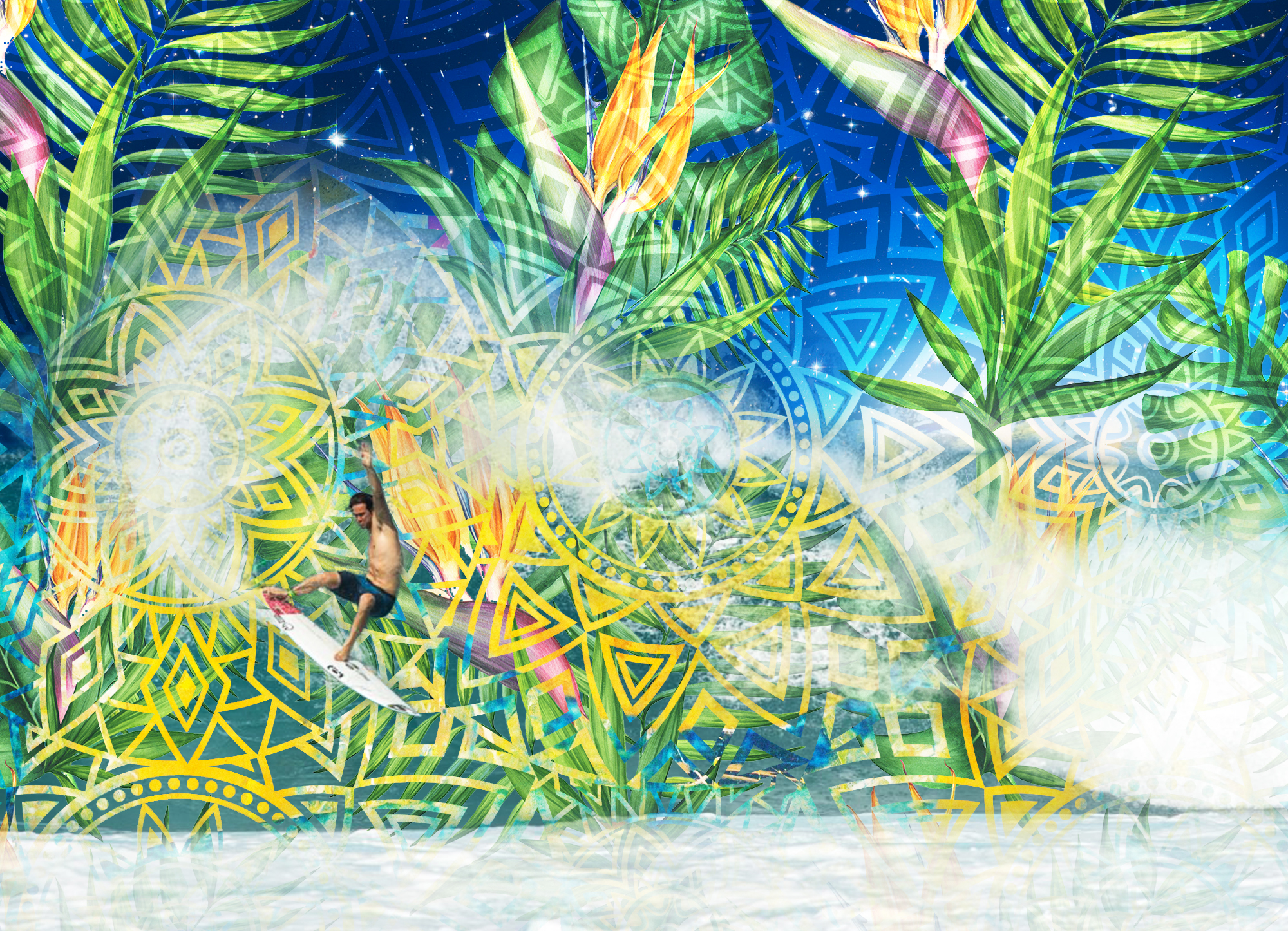Jordy Smith Bird of paradise.jpg