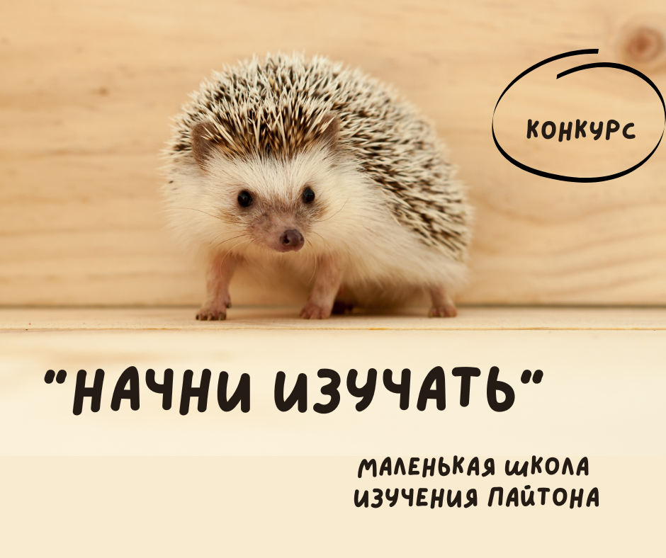 Конкурс 1 Начни изучать Пайтон.png