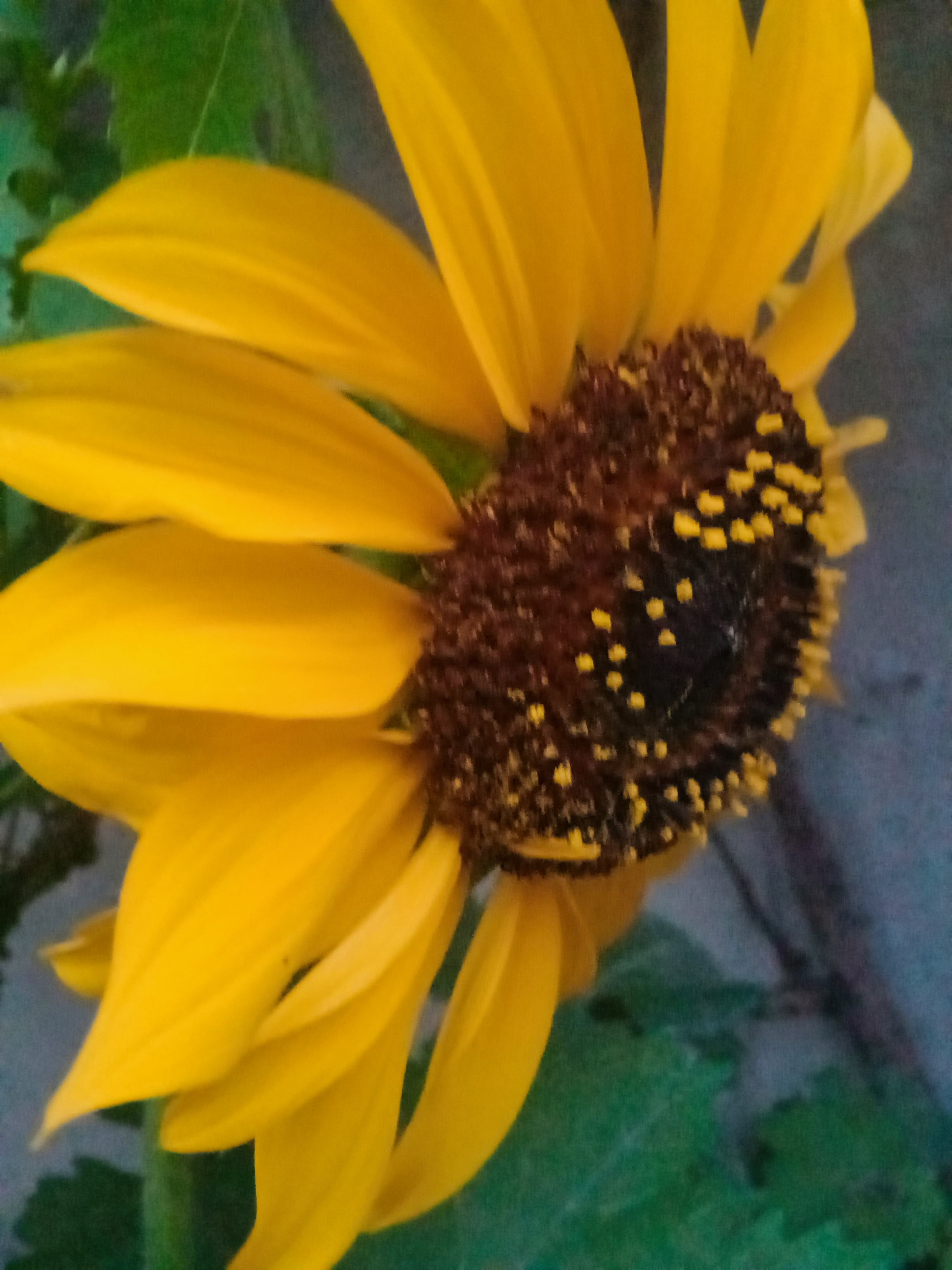 IMG20210320182831.jpg
