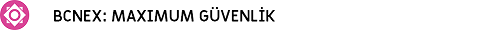 bcnex-2.png