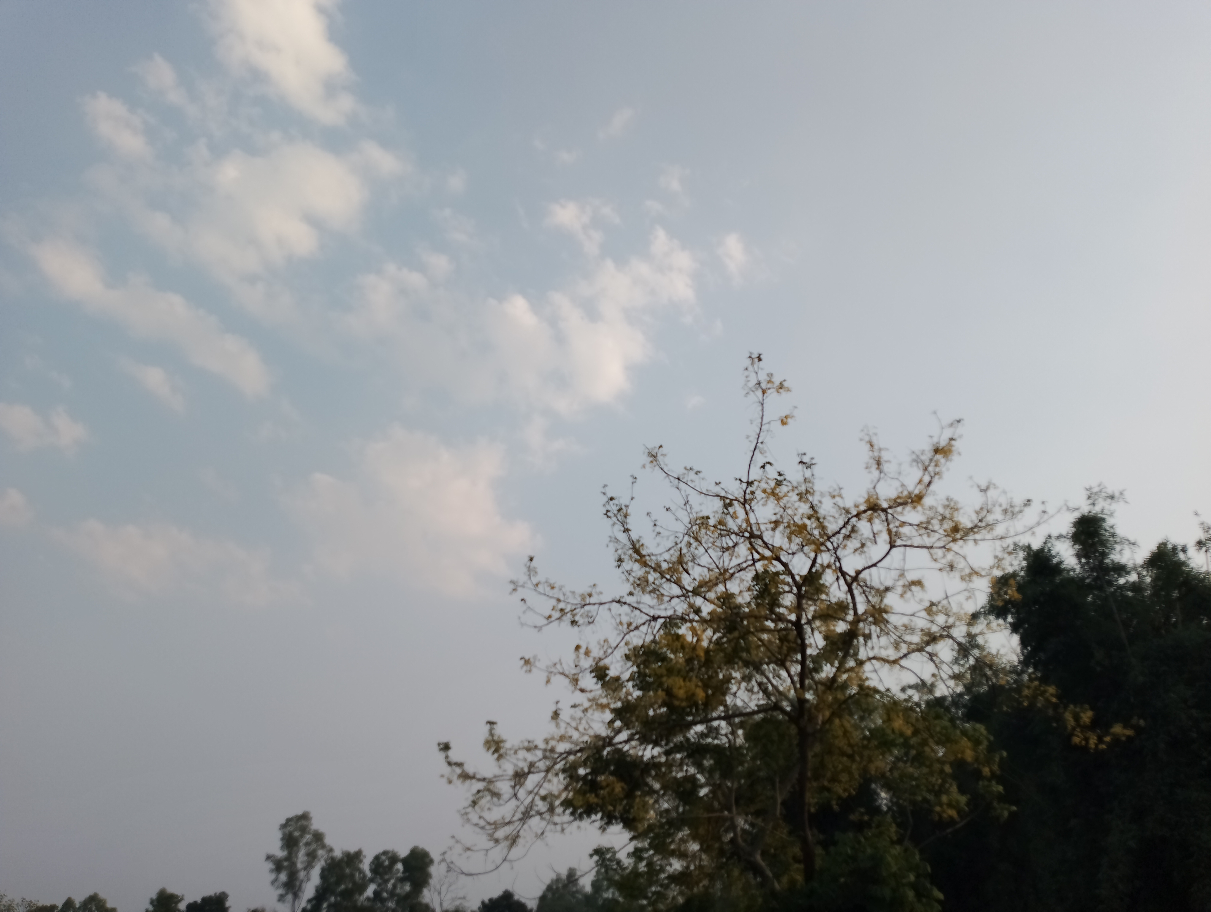 IMG_20230507_174622.jpg