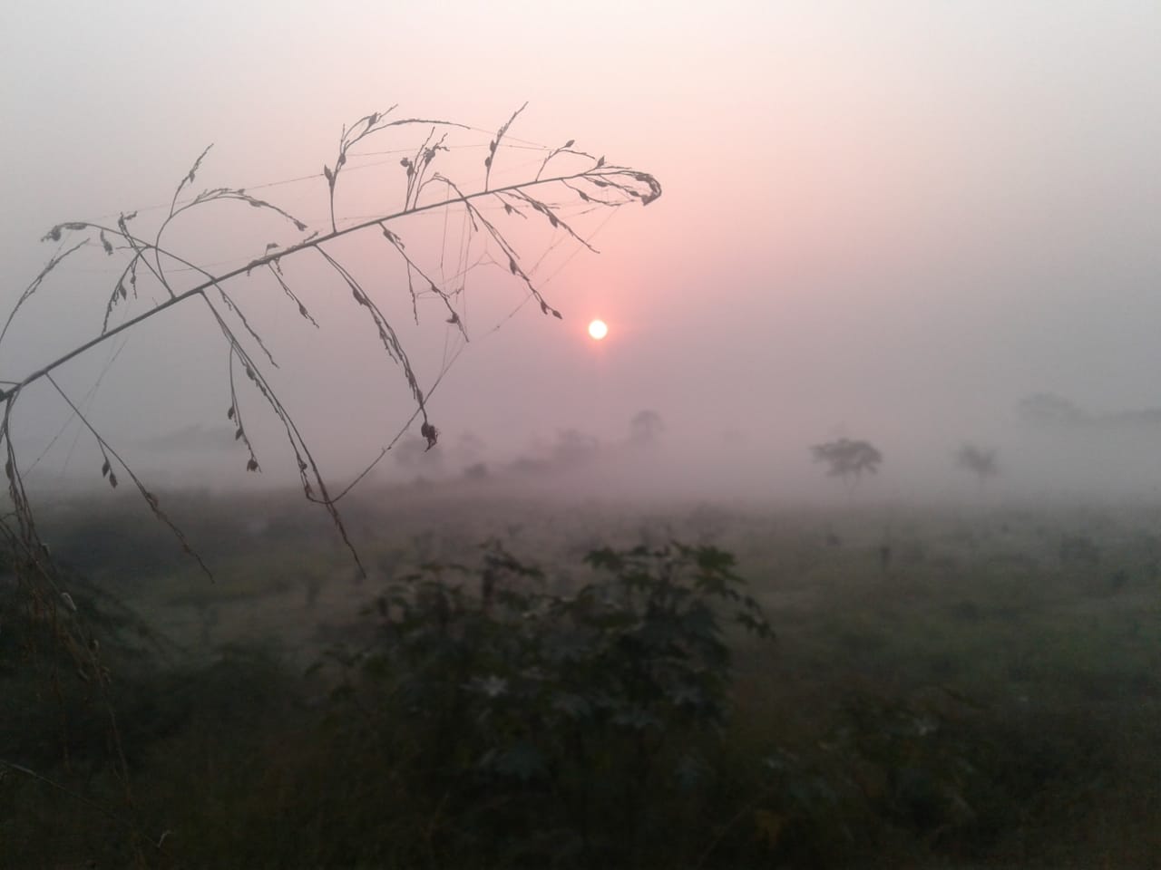 IMG-20211111-WA0010.jpg
