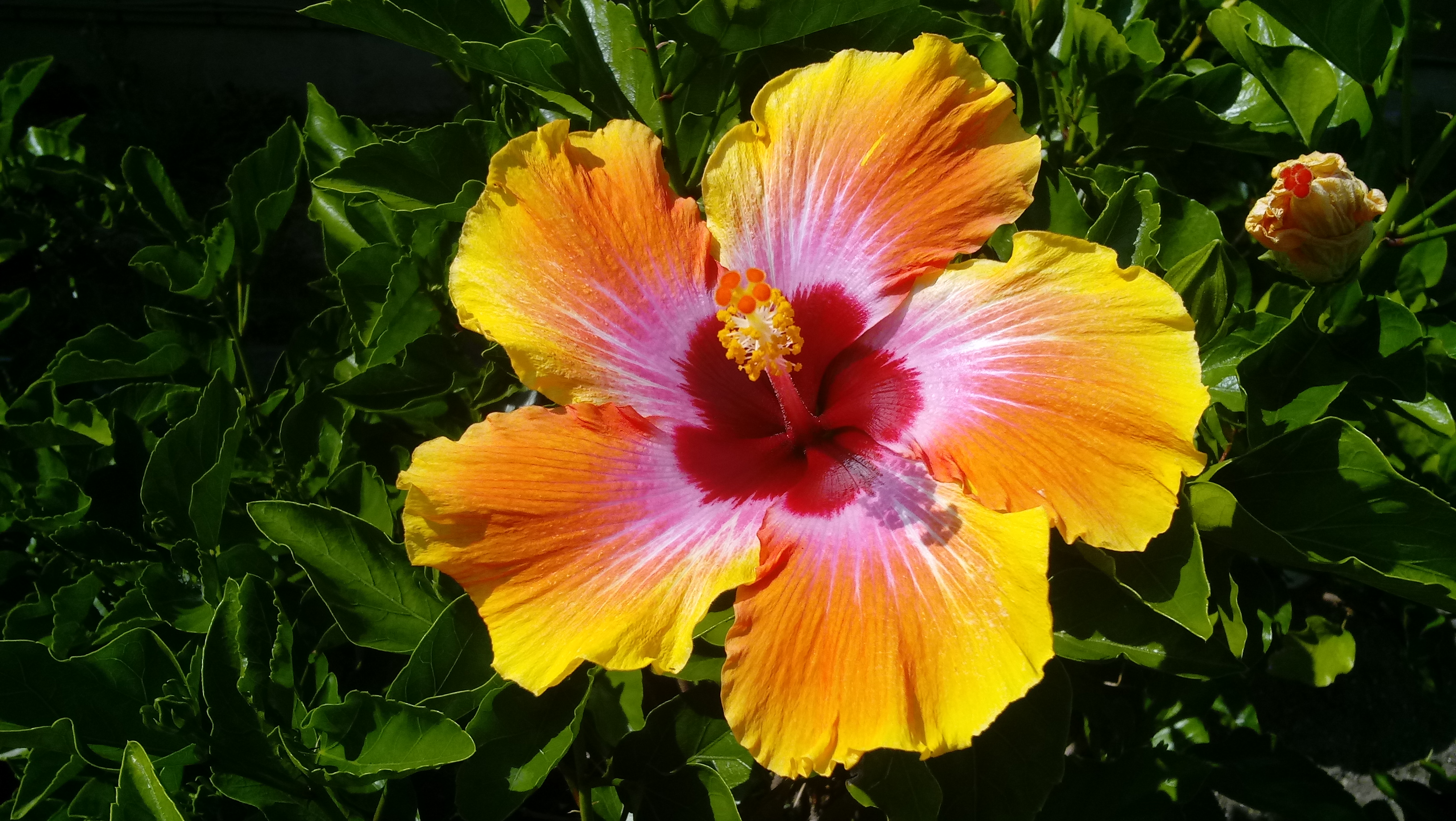 20180819_153318.jpg