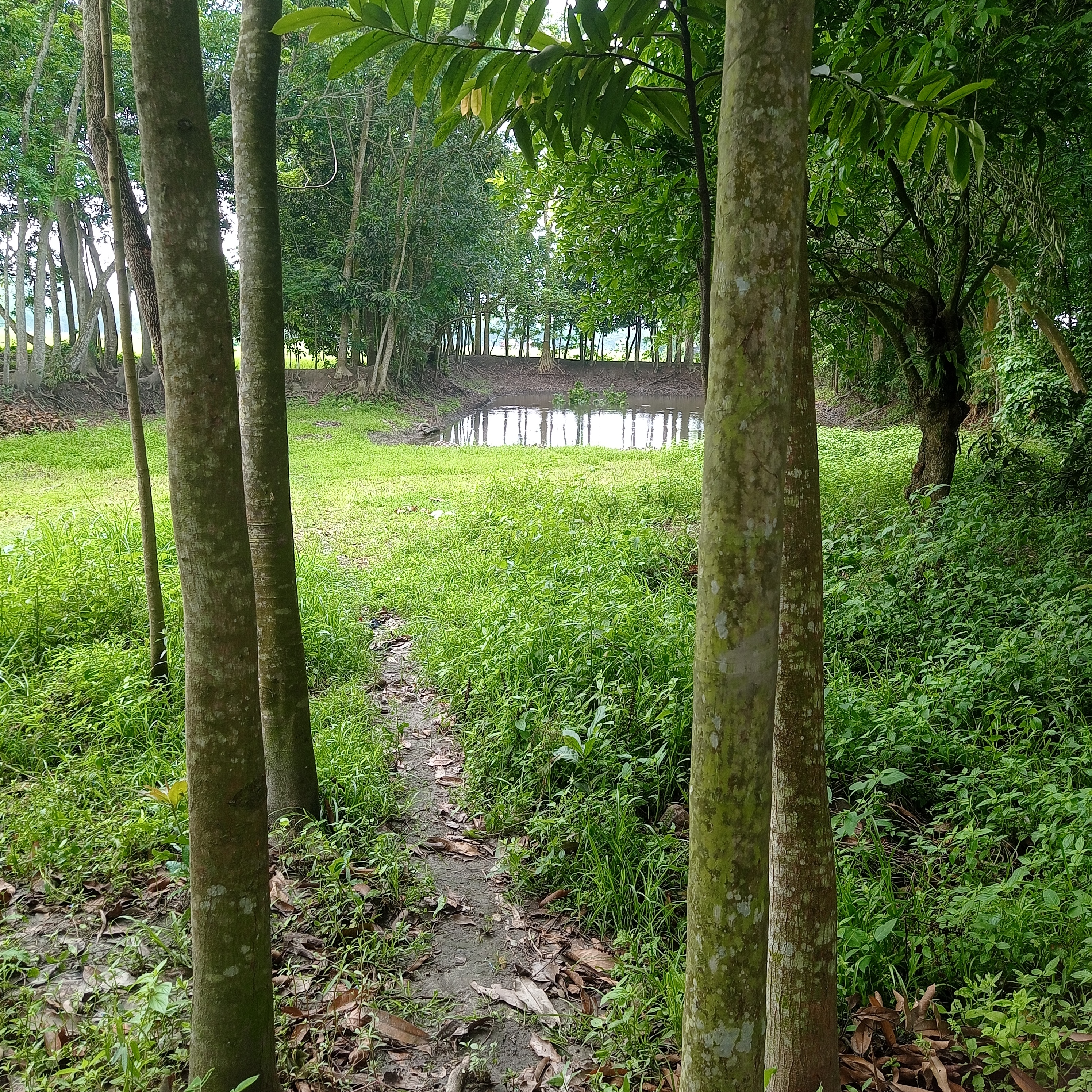 IMG_20260417_100120.jpg