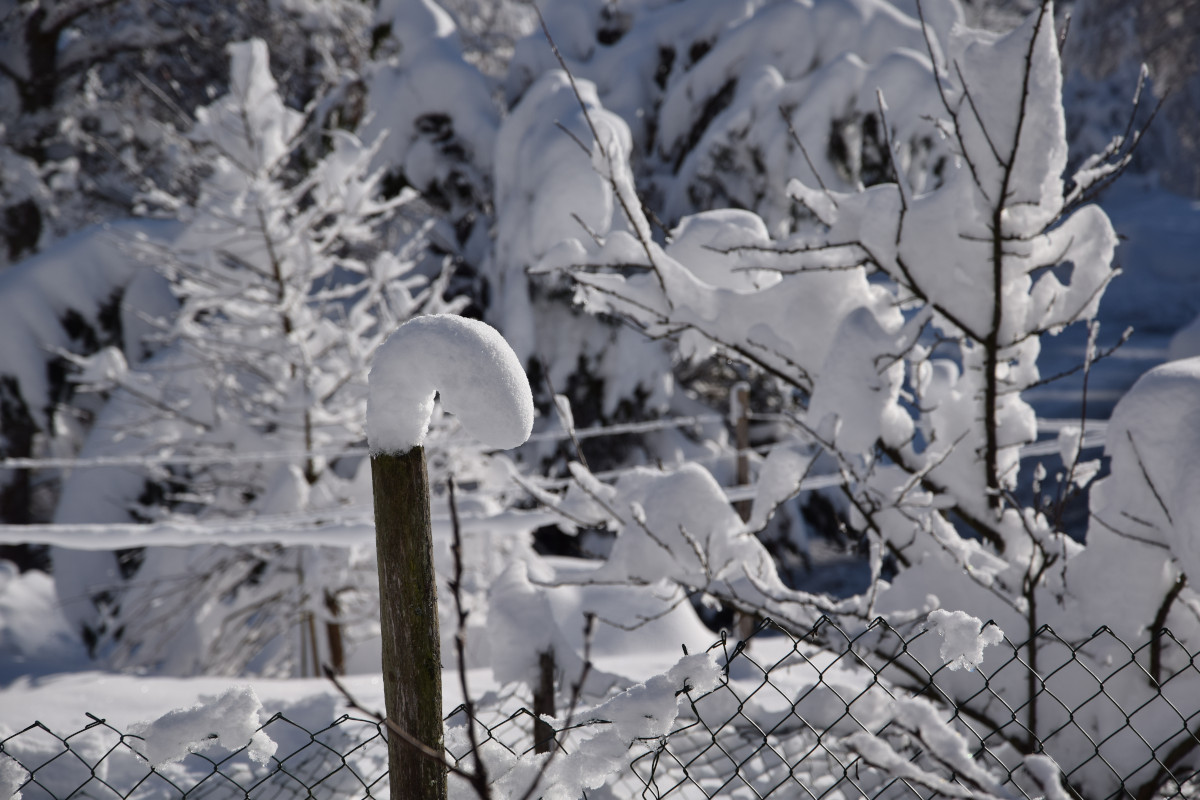 DSC_0040_1.JPG