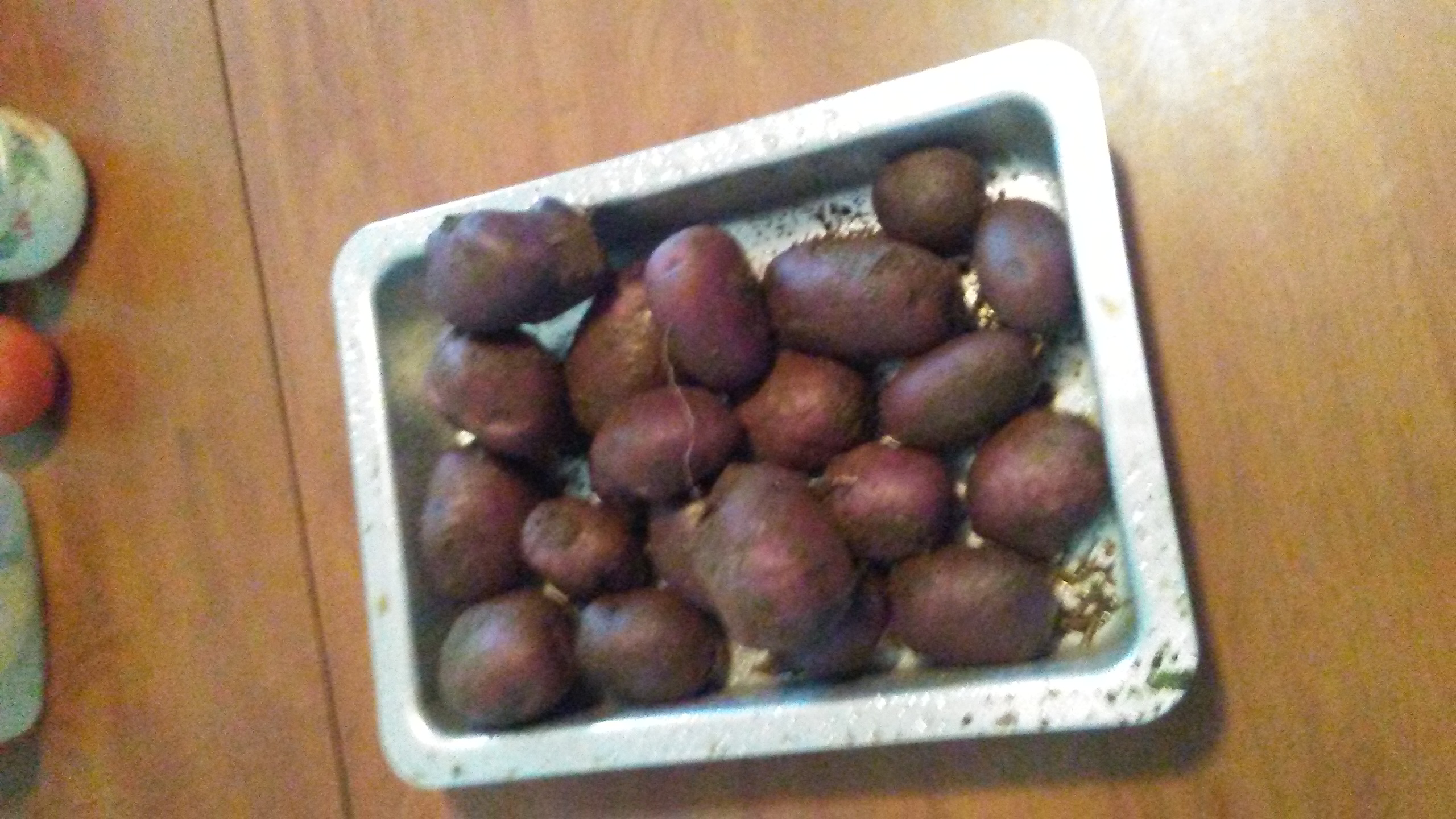 0814181028.jpg