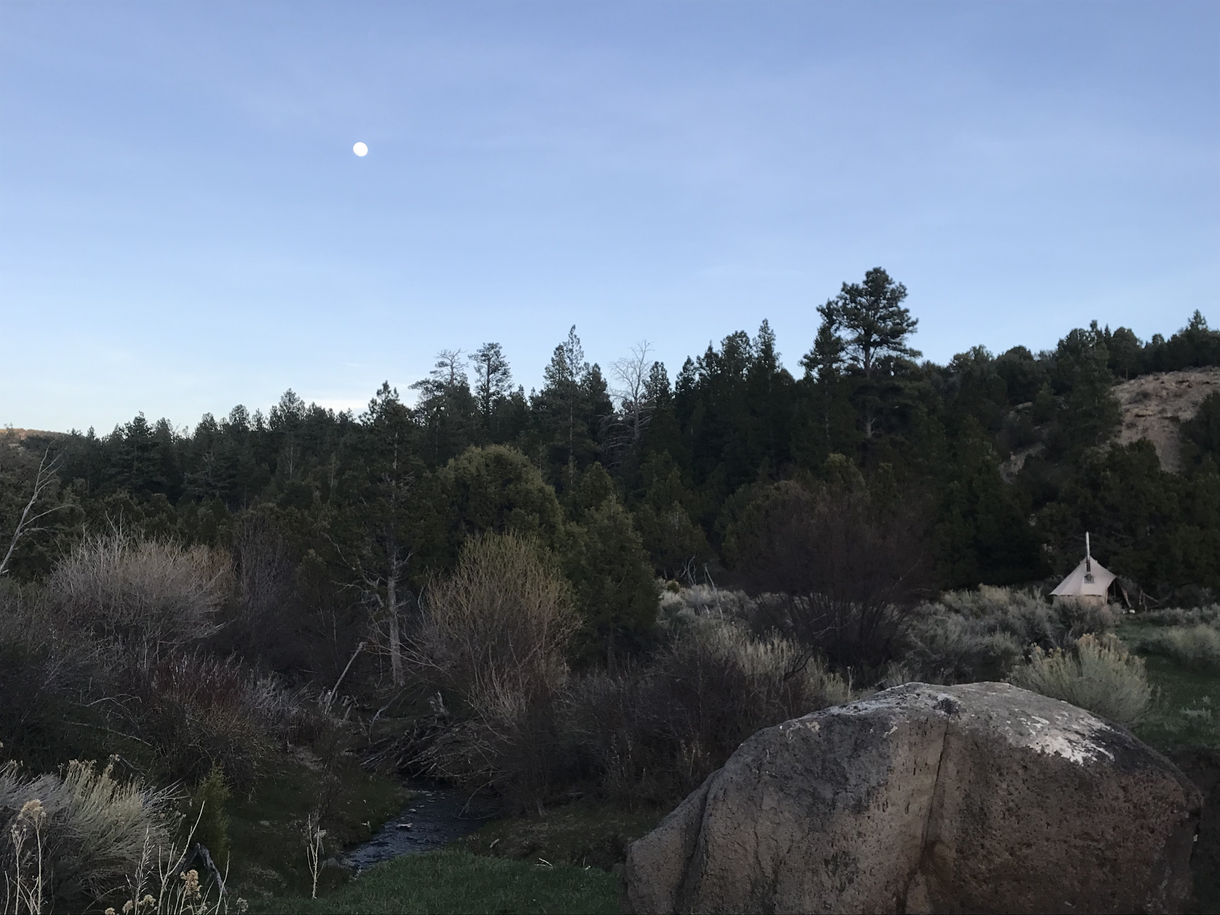ECC398CA-936B-40C1-8008-24E461679BFD.jpeg