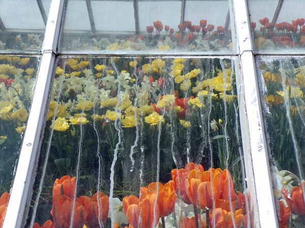 Mt. Holyoke2 crop March 2020.jpg