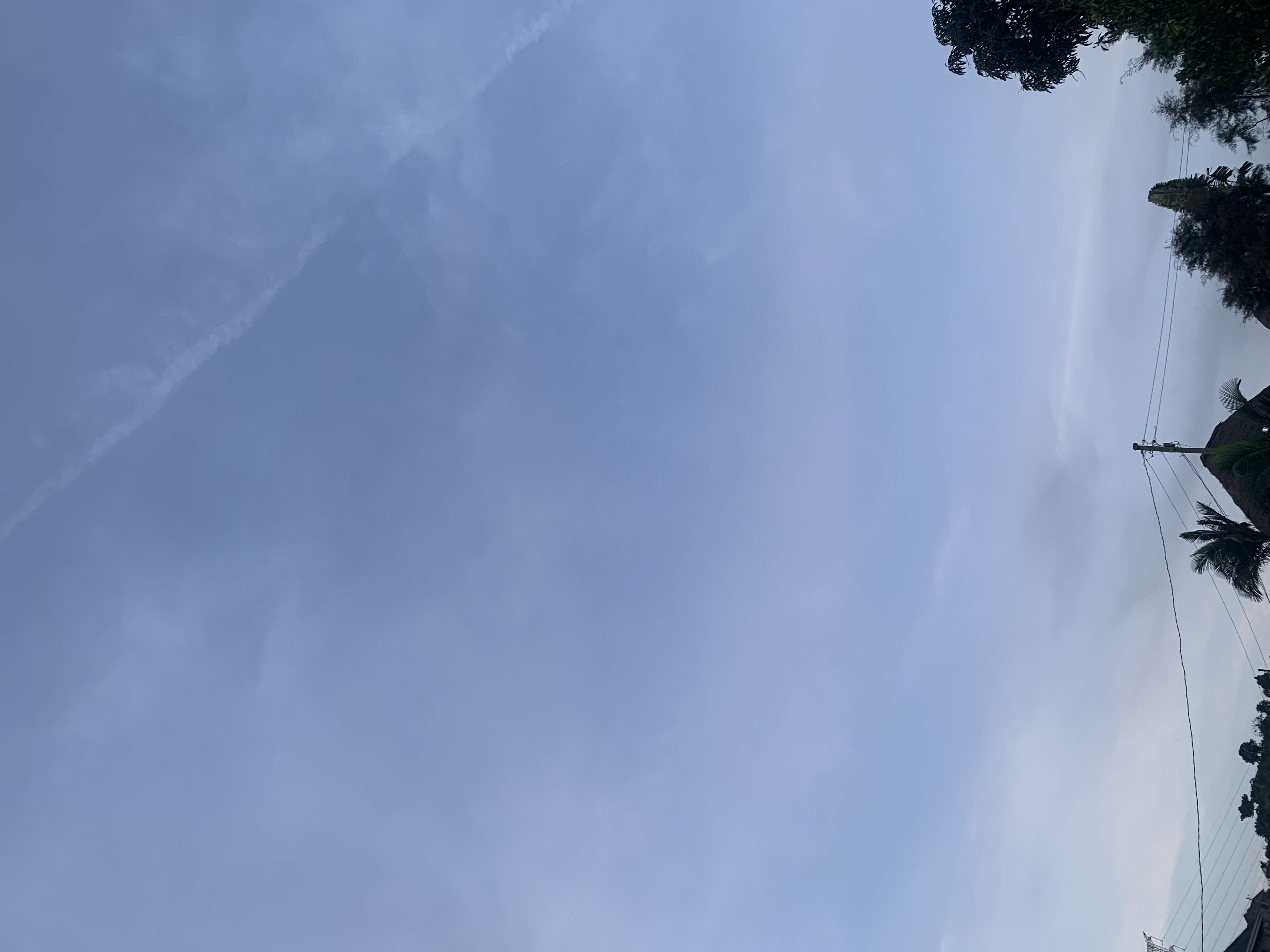 IMG_1402.jpeg