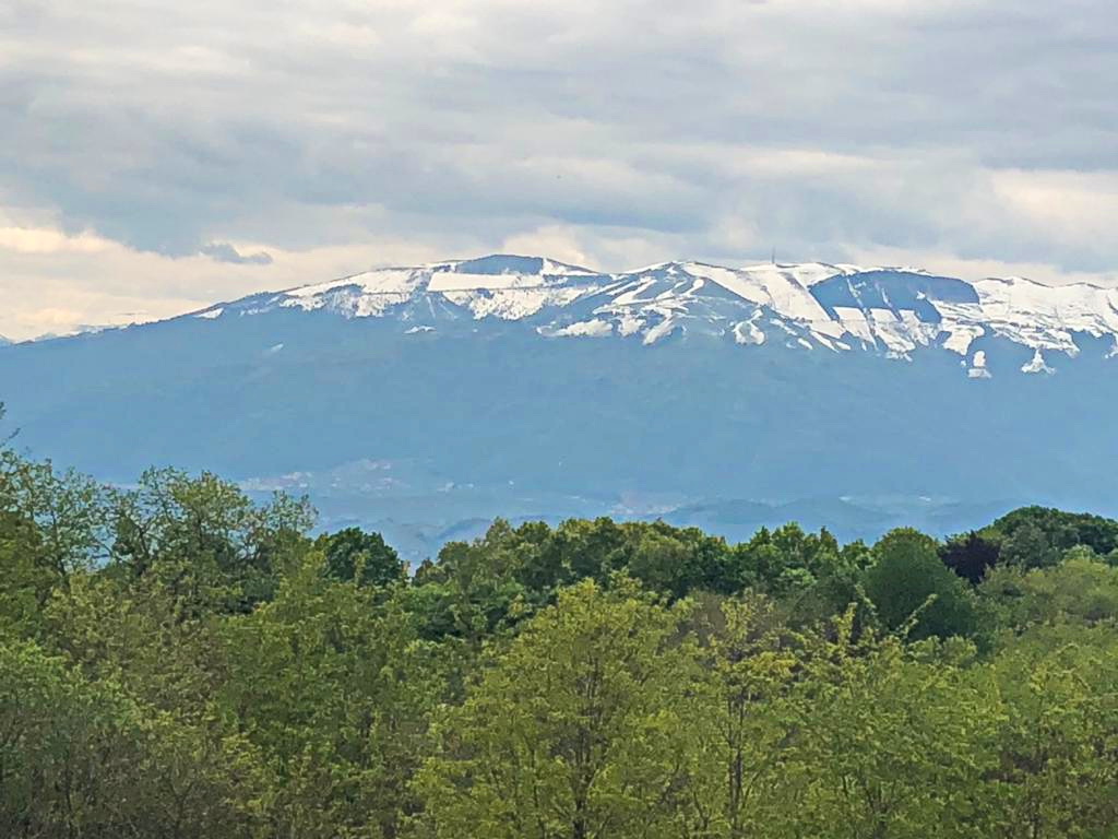 IMG-20190507-WA0001.jpg