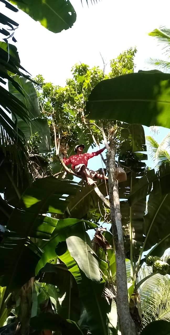 received_410808639633826.jpeg