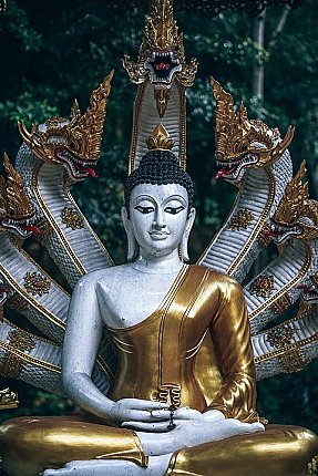 ancient-3645146_960_720-small (3).jpg