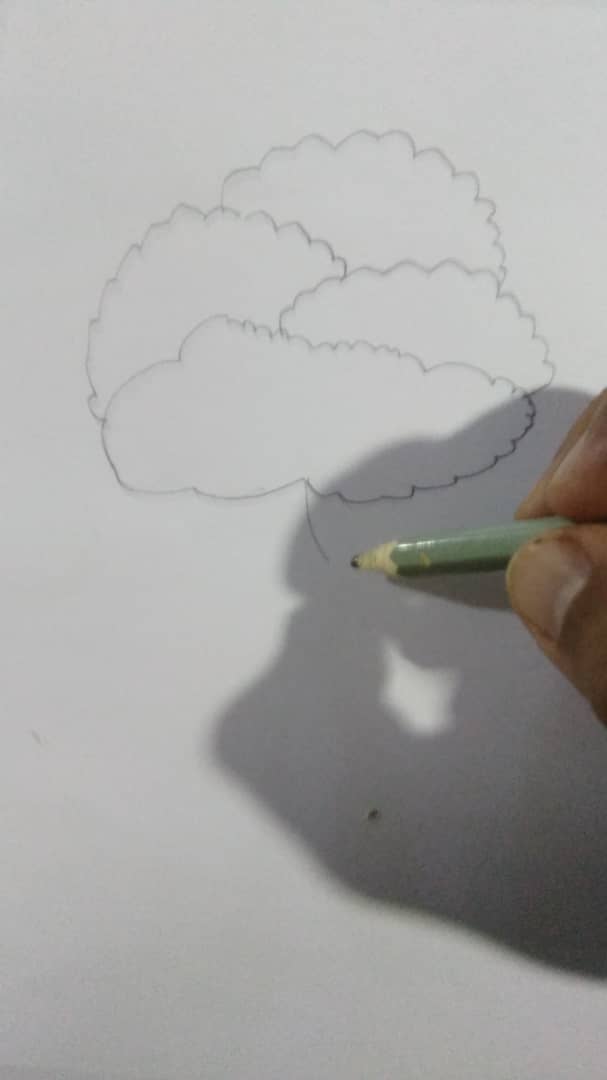 dibujando 6.jpg