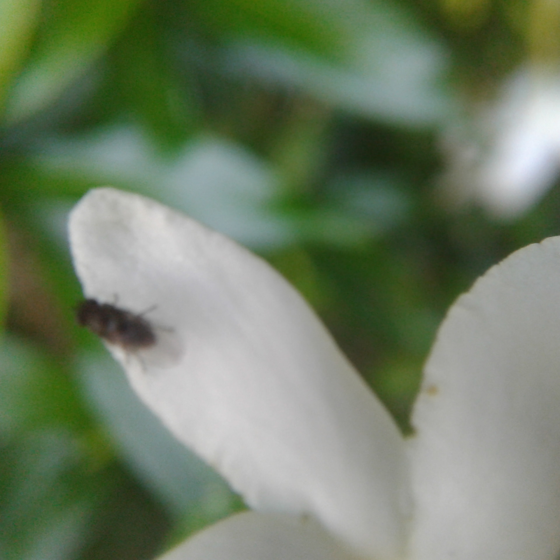 20240325_080121.jpg