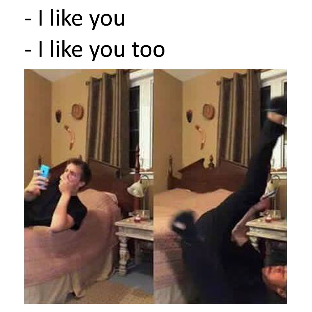 141.jpg