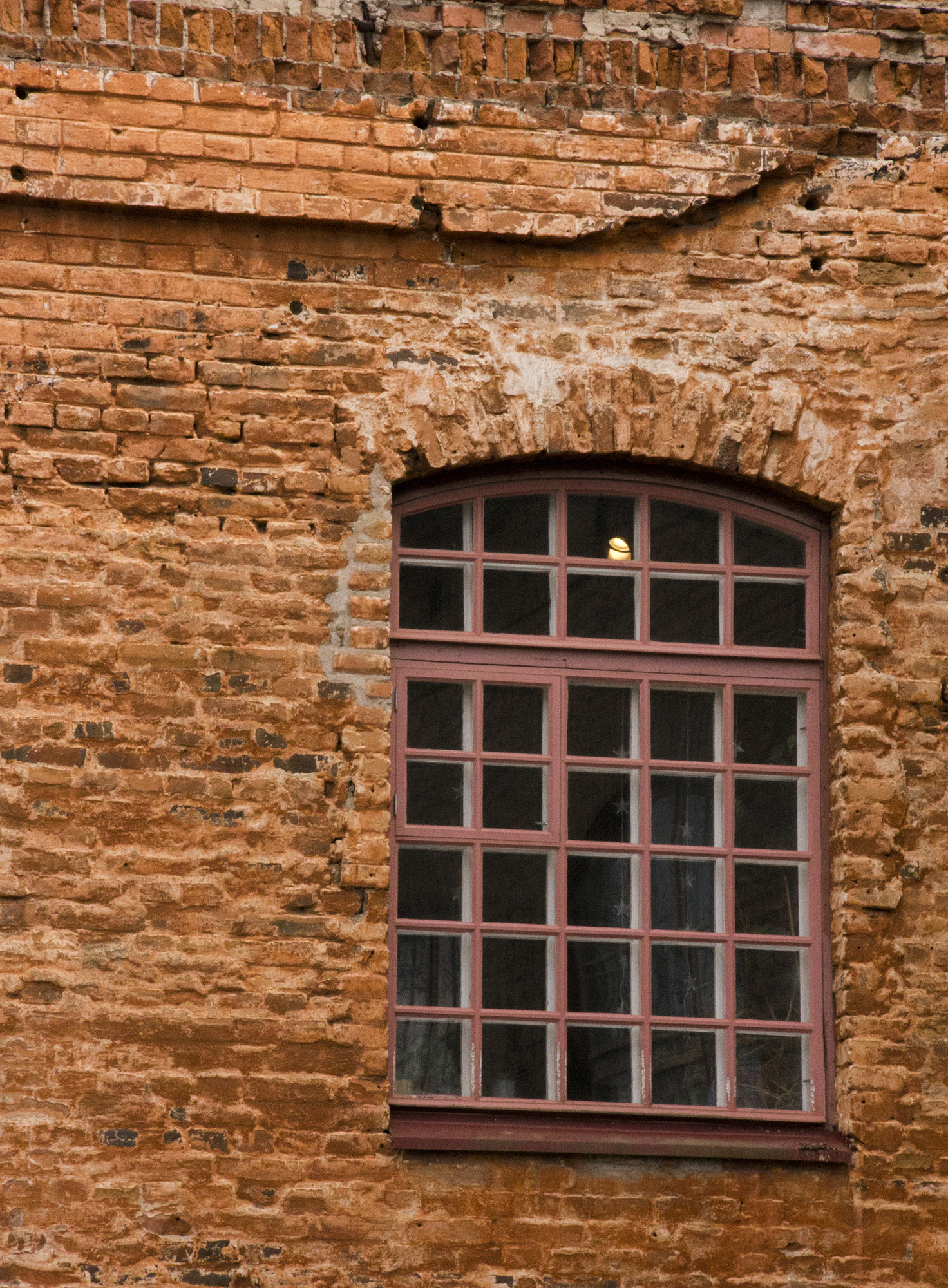 IMG_6729_1.jpg