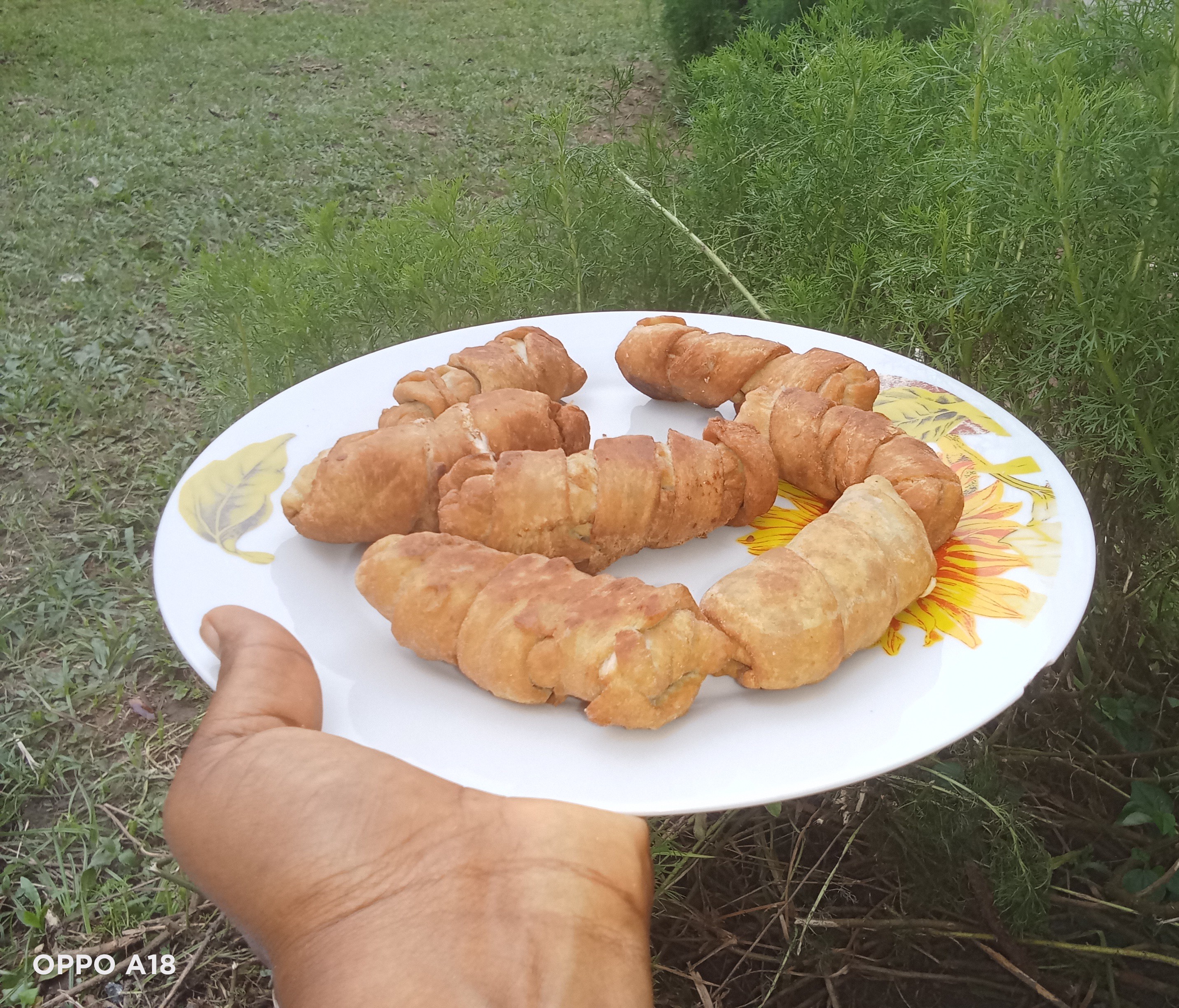 IMG20250813180454 (1).jpg