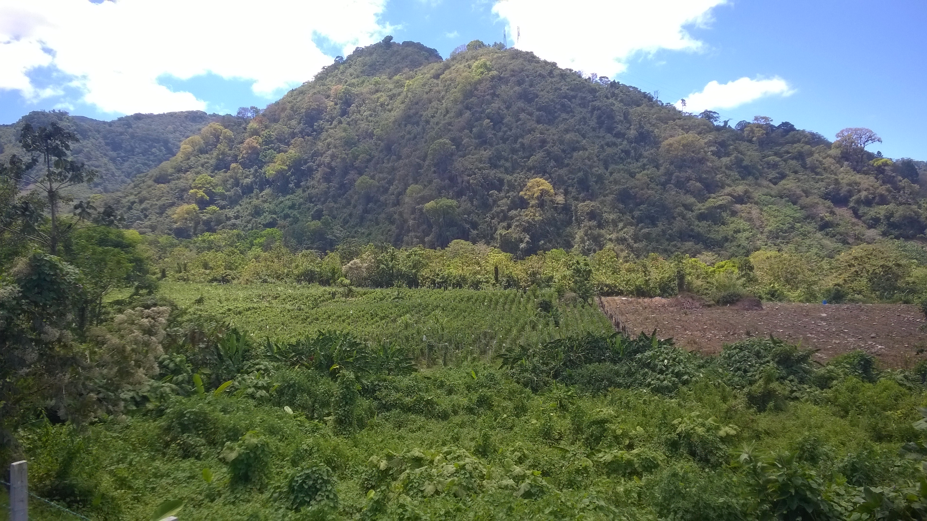WP_20180311_018.jpg