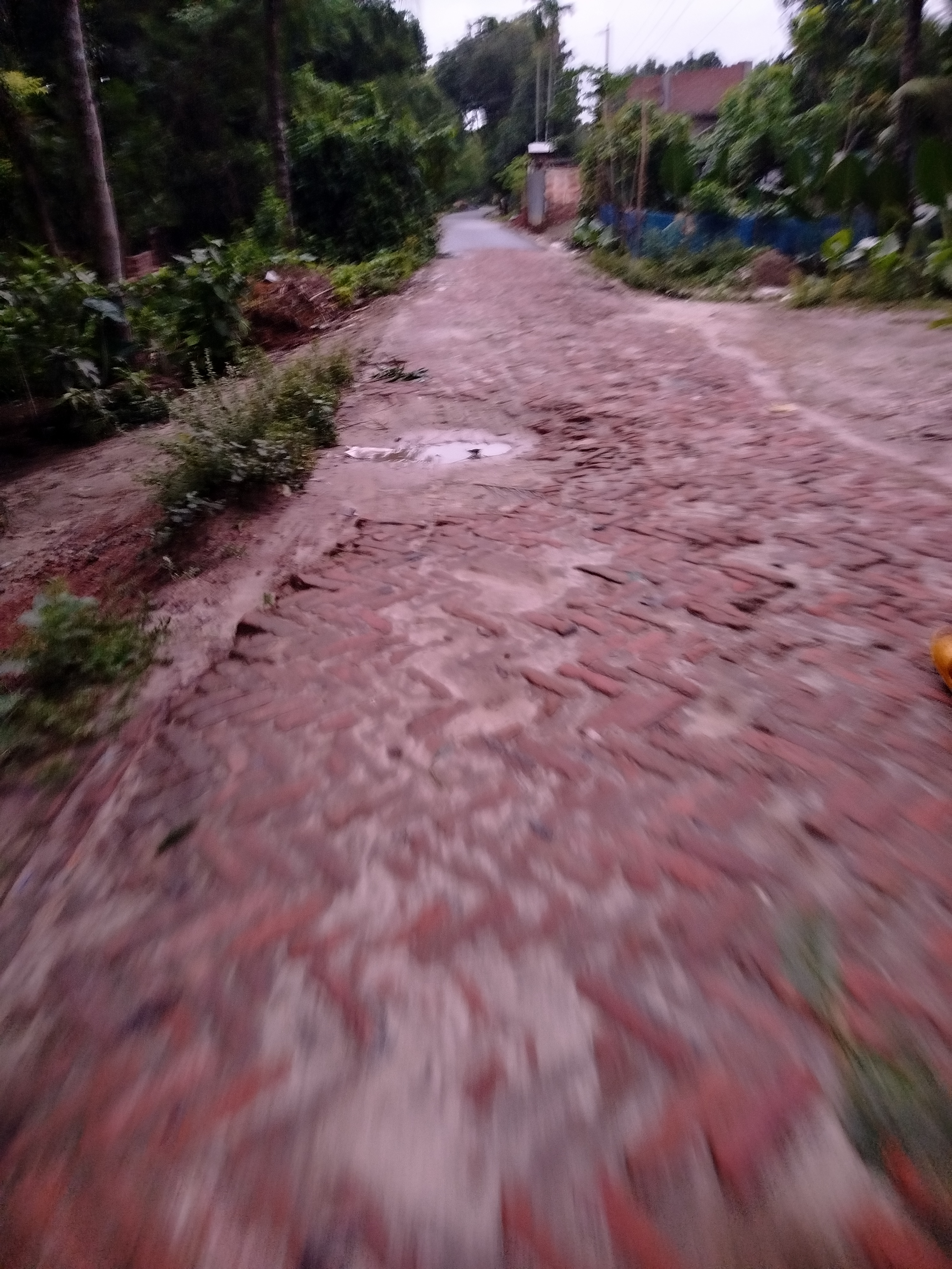 1000008754.jpg