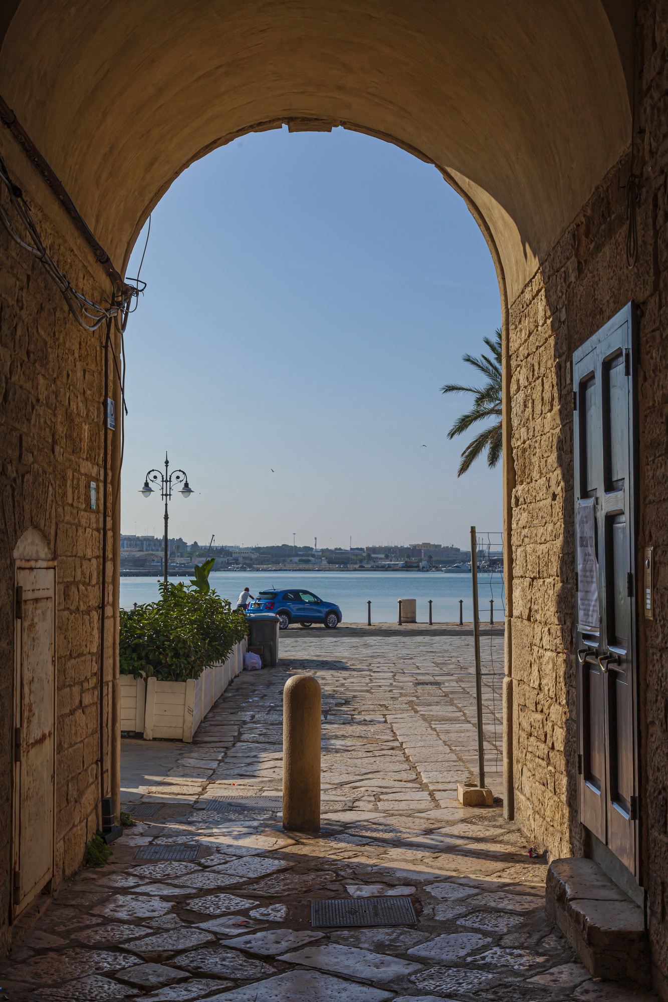 IMG_4656_resize.jpg