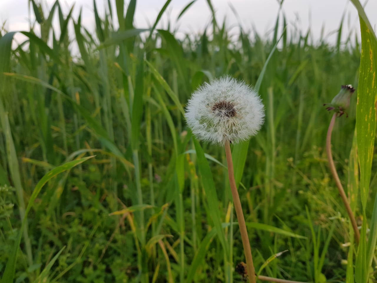 farm photos (4).jpeg