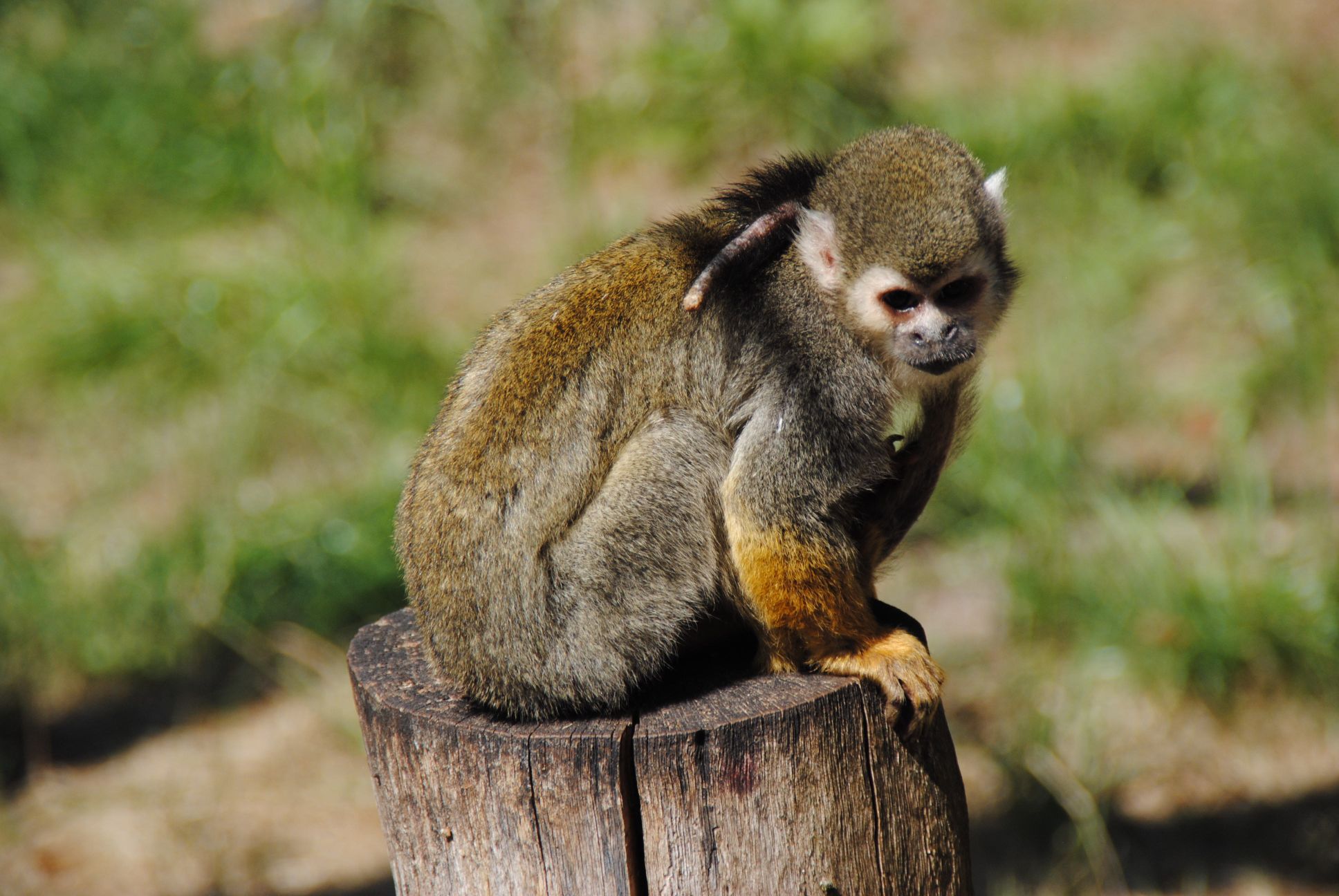 image068.jpg