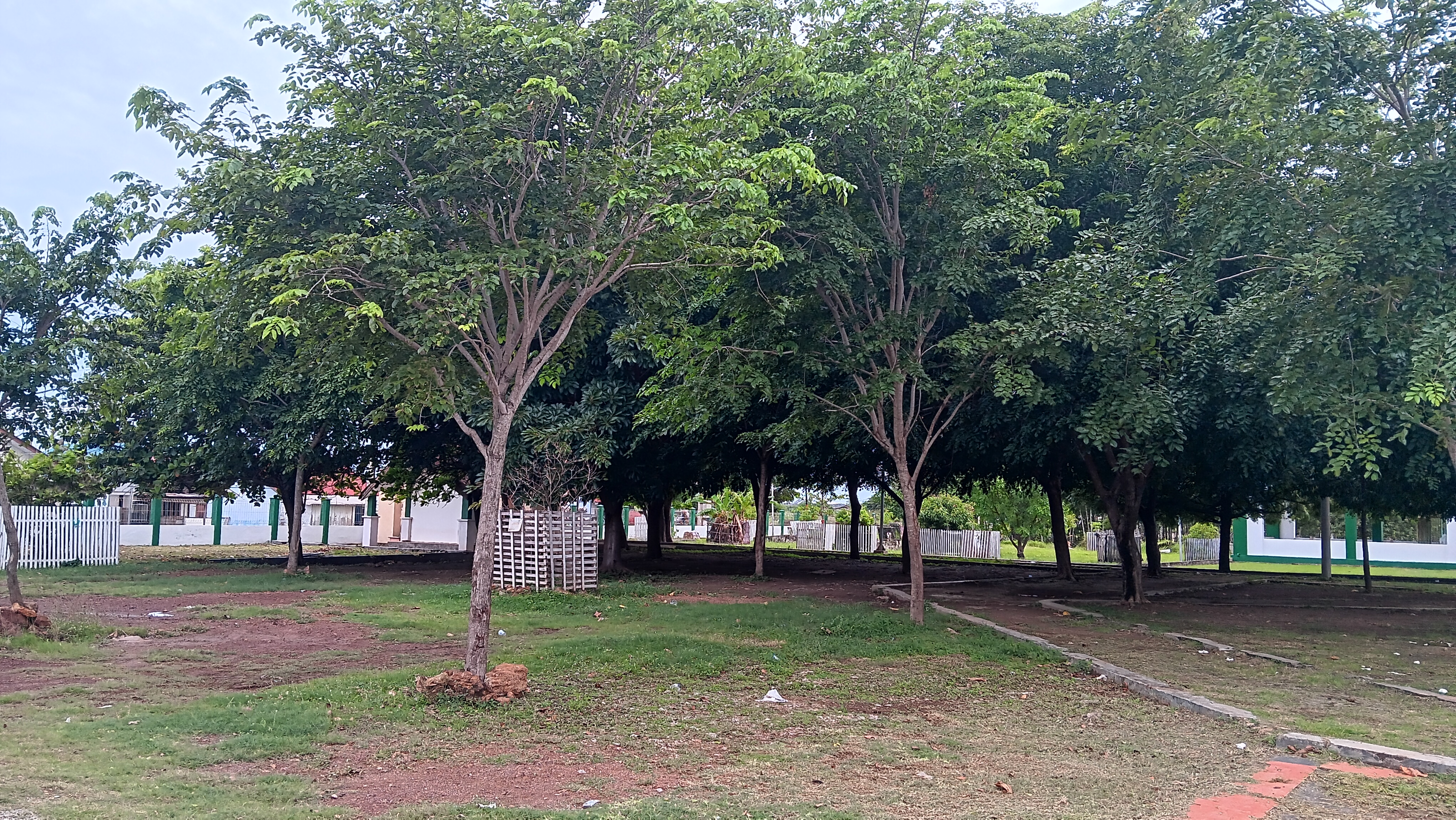20251106_164701.jpg