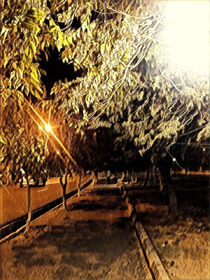 126.jpg