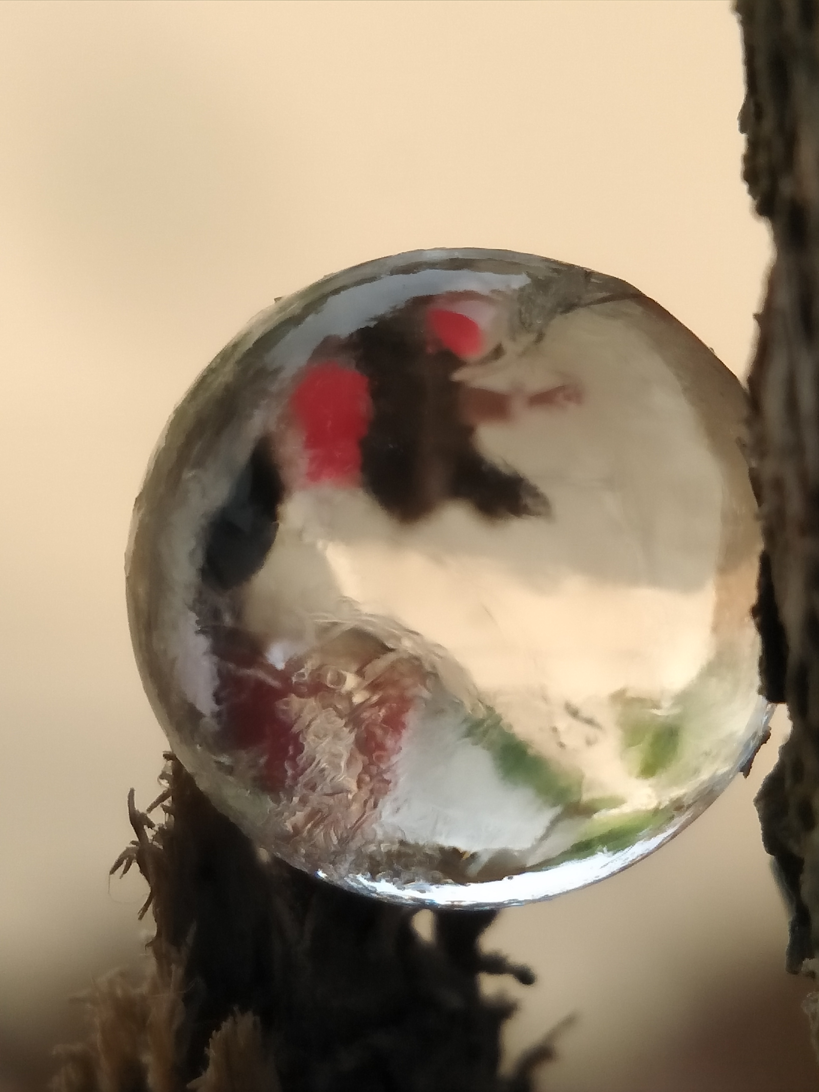 IMG20180920115409.jpg