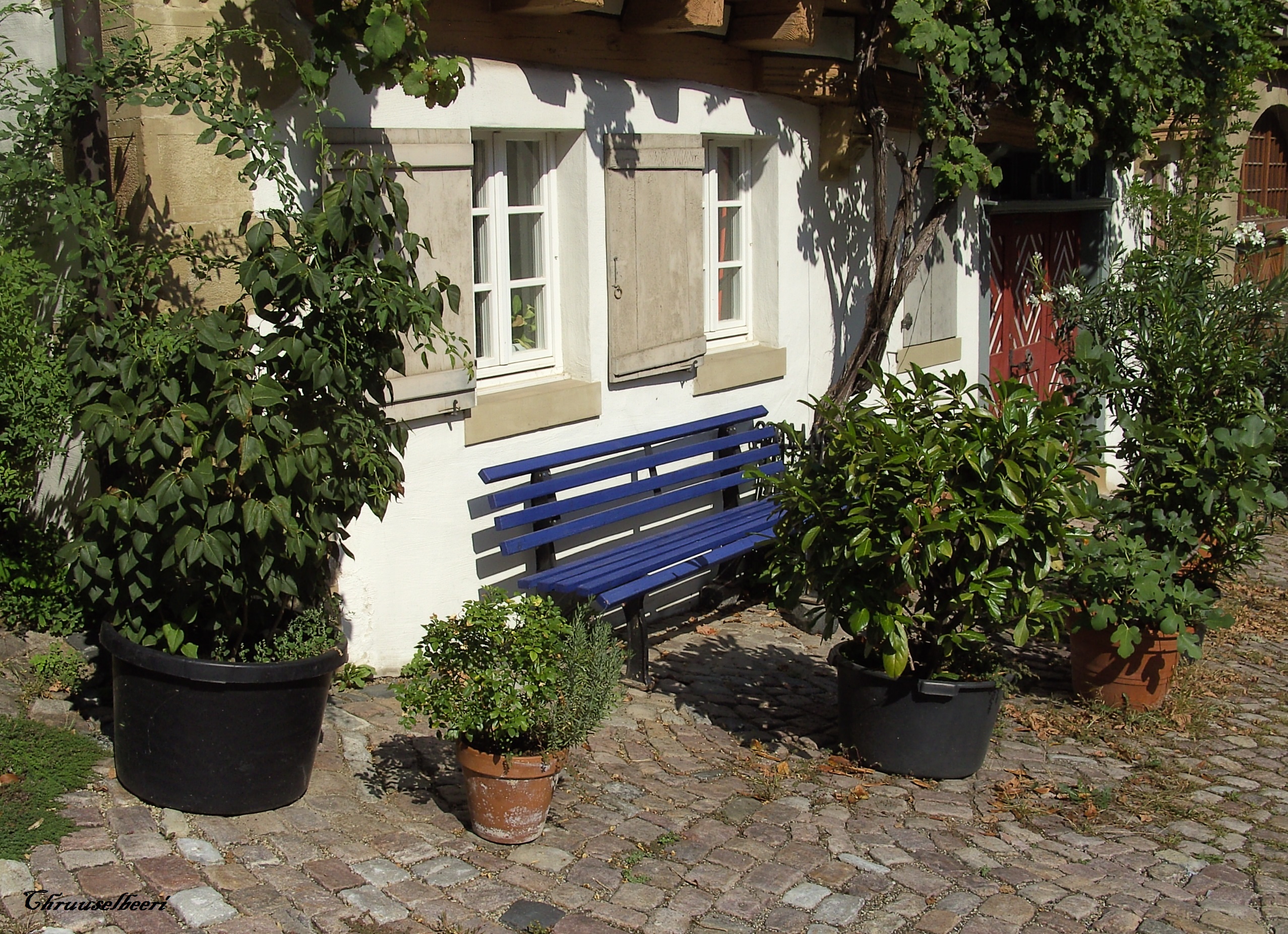 Begruente_Fassade_01.jpg