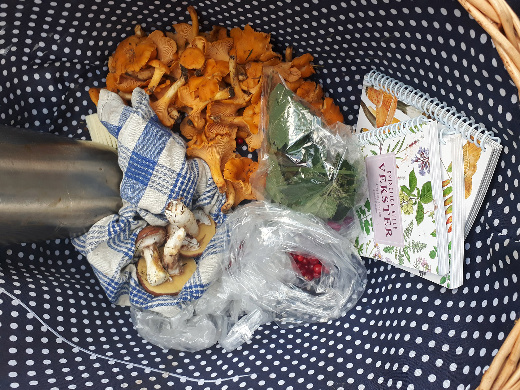 20170912_175207.jpg