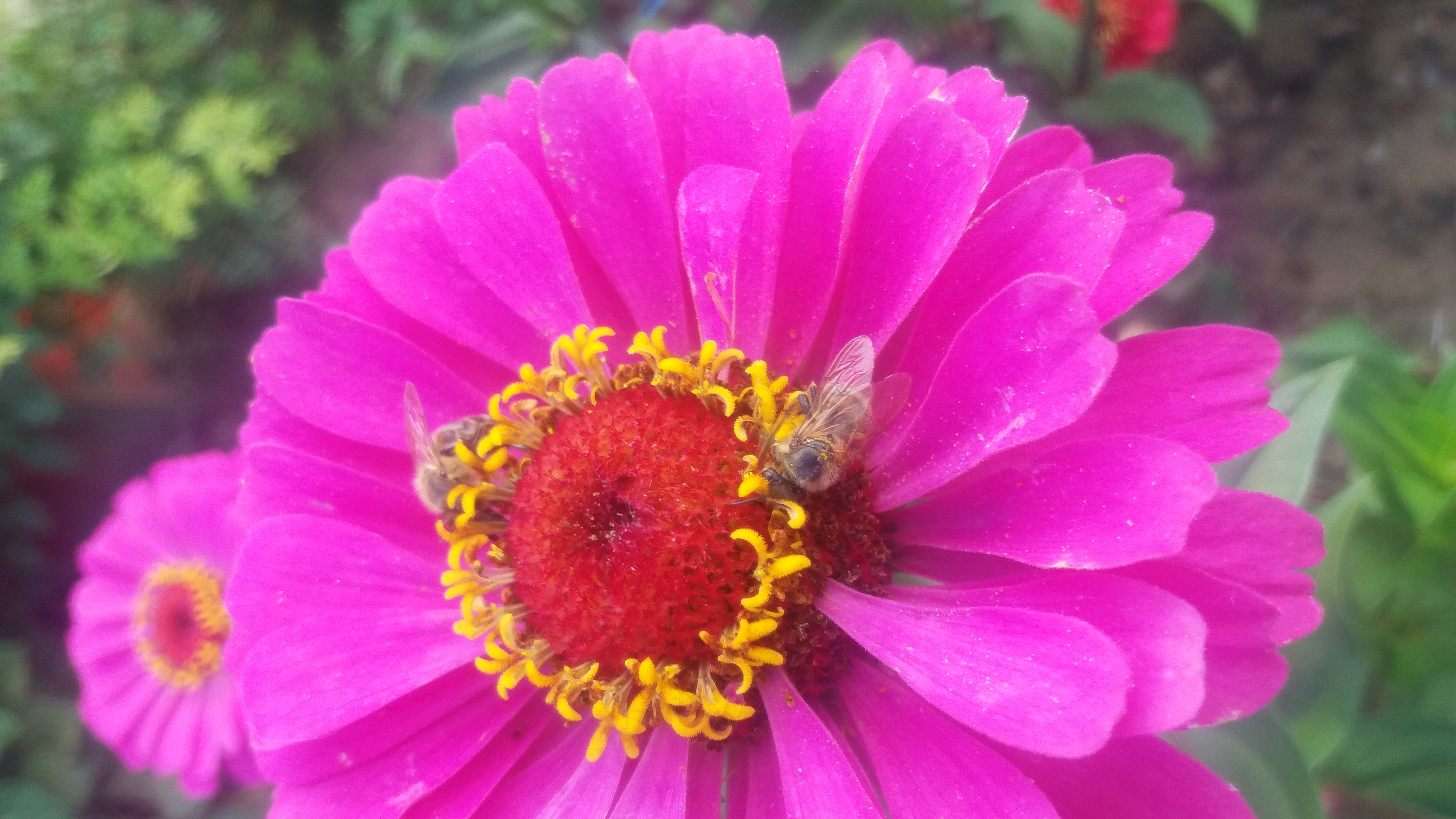 20190906_154247.jpg