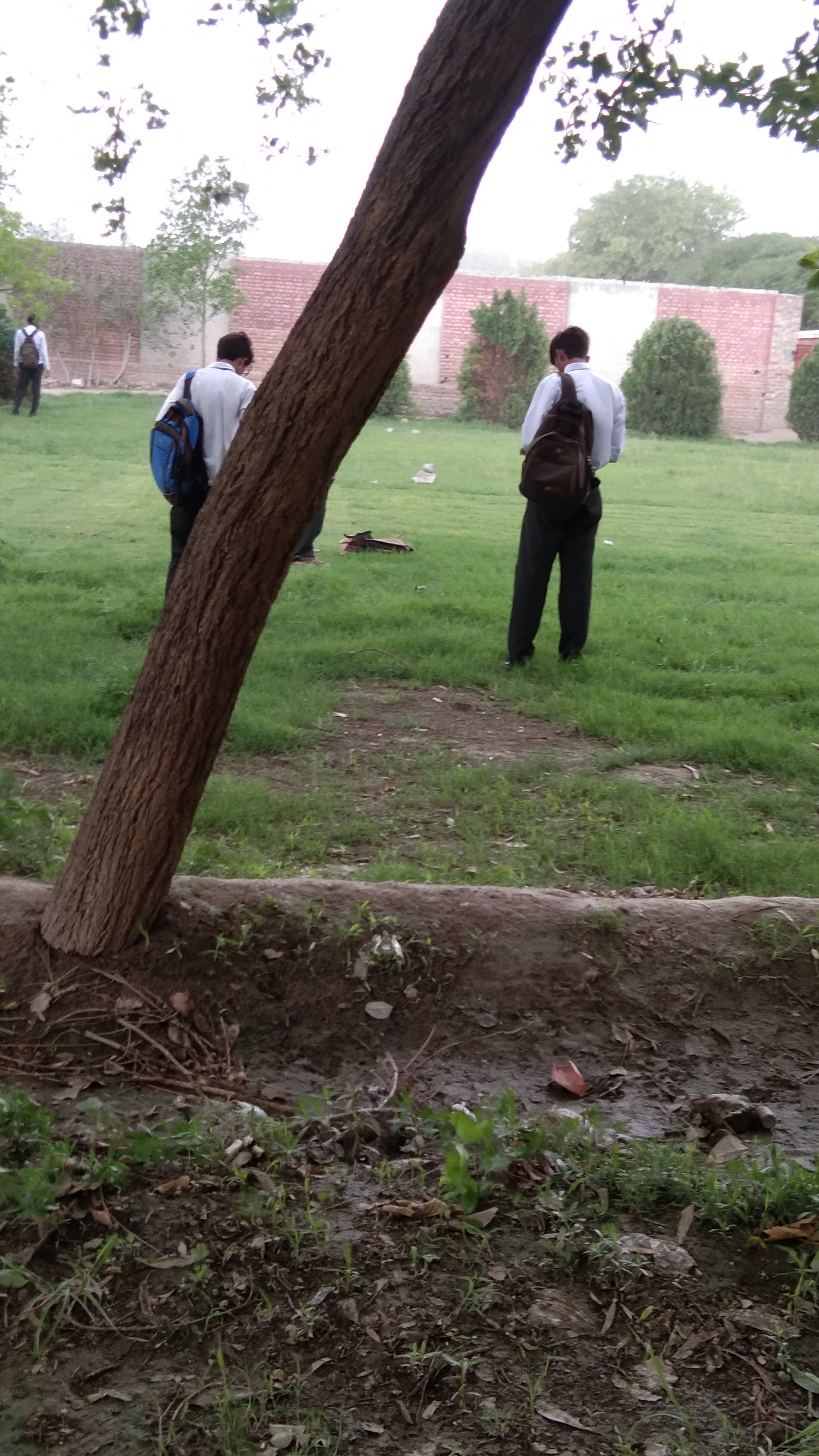 IMG_20210615_091336.jpg