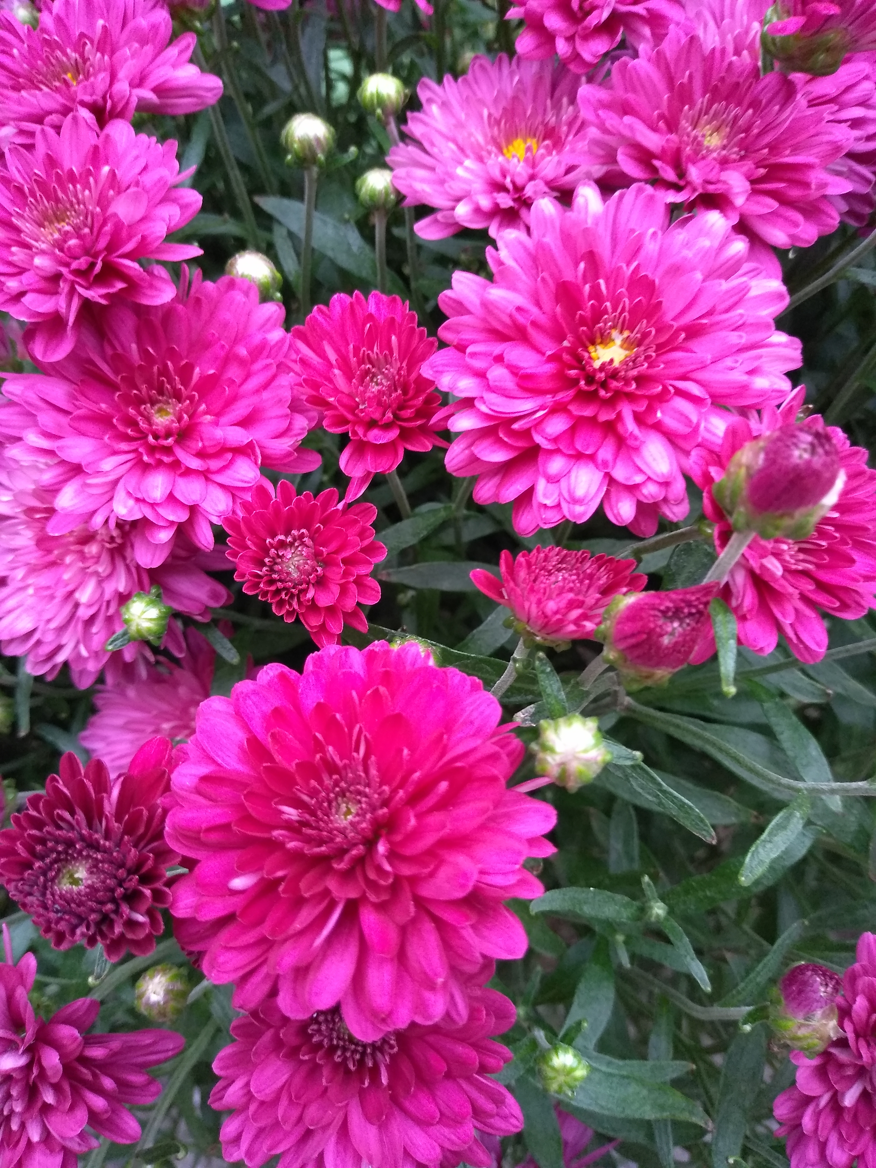 IMG_20190919_175539.jpg