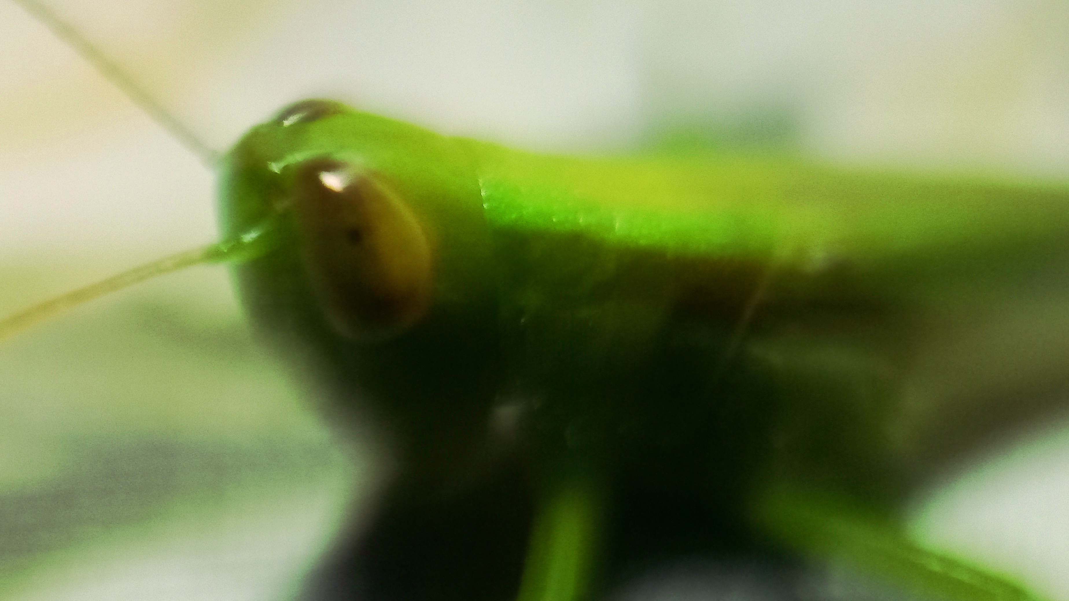 20220620_214600.jpg