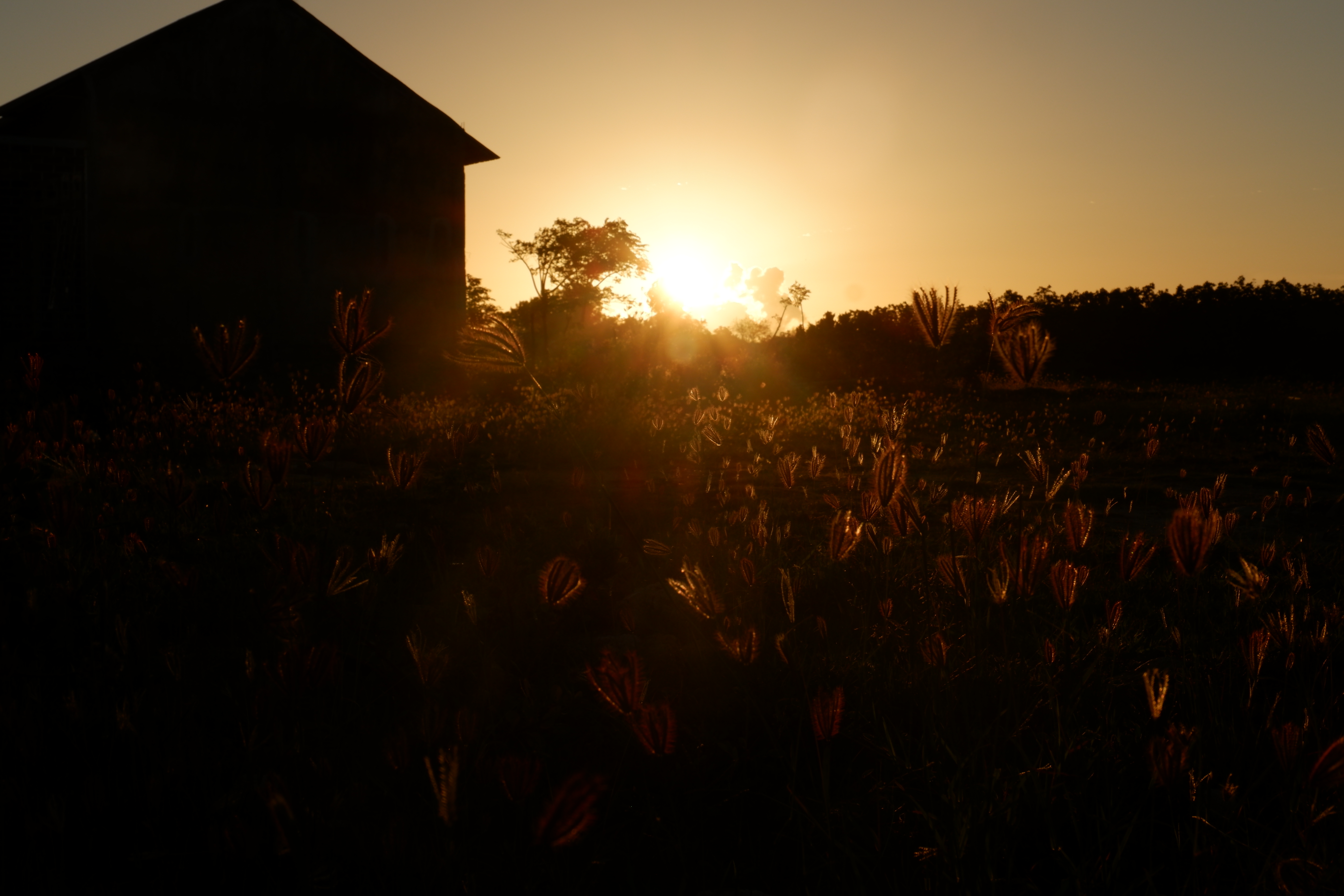 DSCF6649.JPG