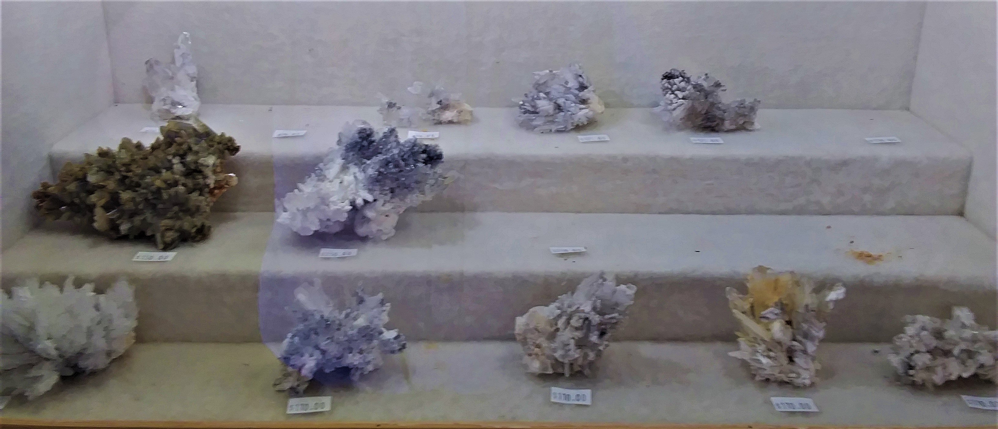 20180604_105613 (2).jpg